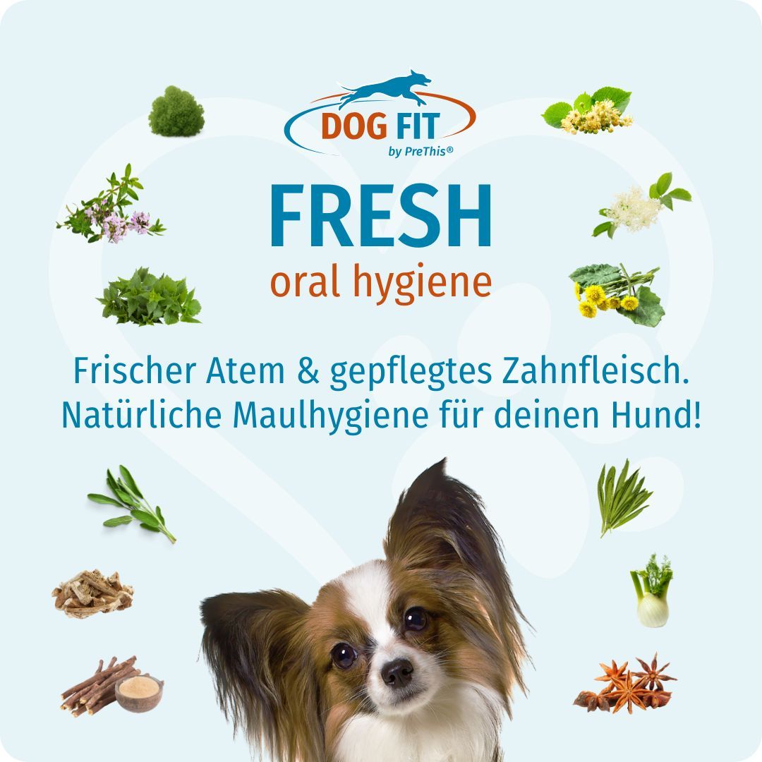 Produktabbildung mit Hund, Kräutern und Text: DOG FIT FRESH, Frischer Atem & Zahnfleischpflege.
