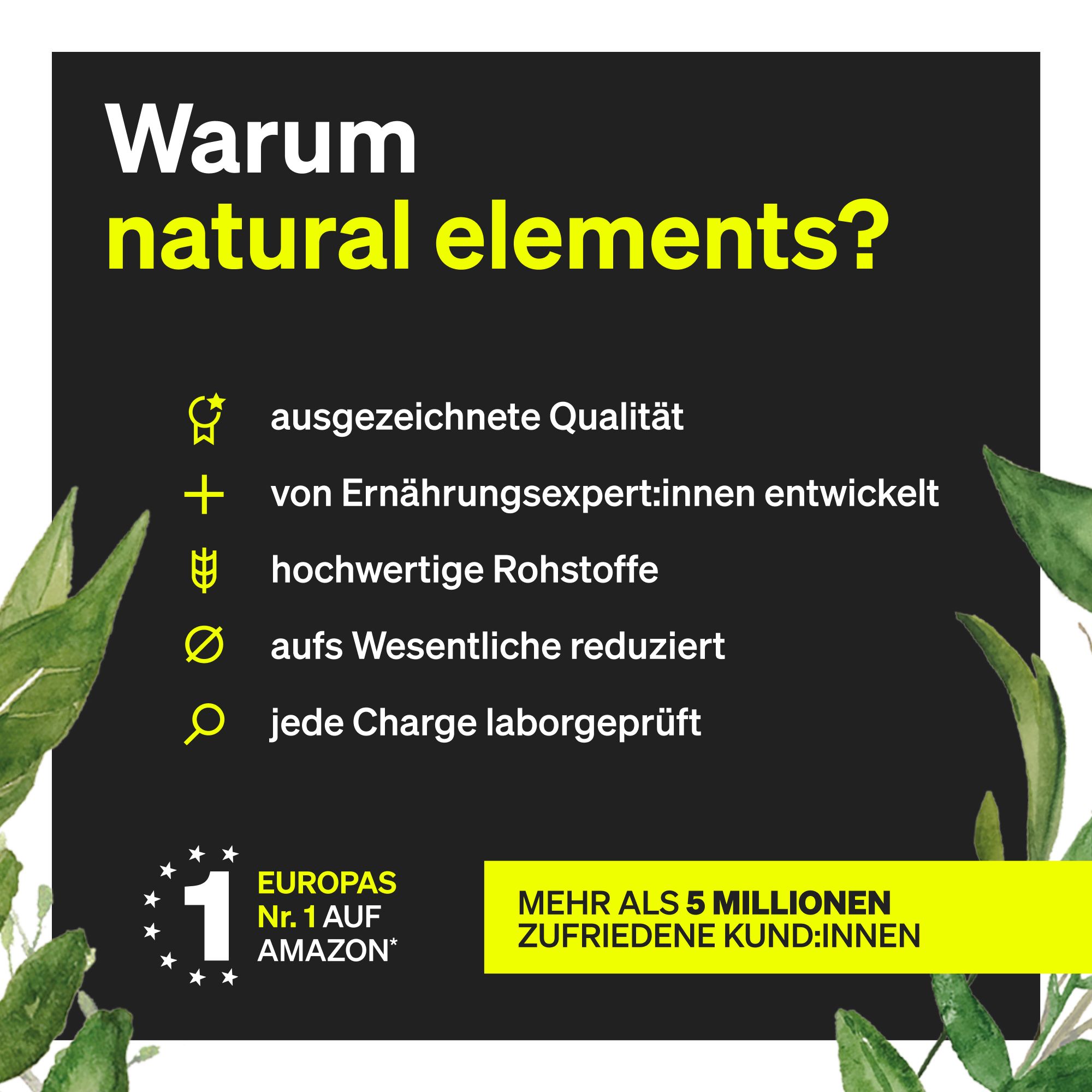 natural elements Vegane Hyaluronsäure – 500 mg Hyaluron pro Kapsel – 90 Kapseln – 500–700 kDa
