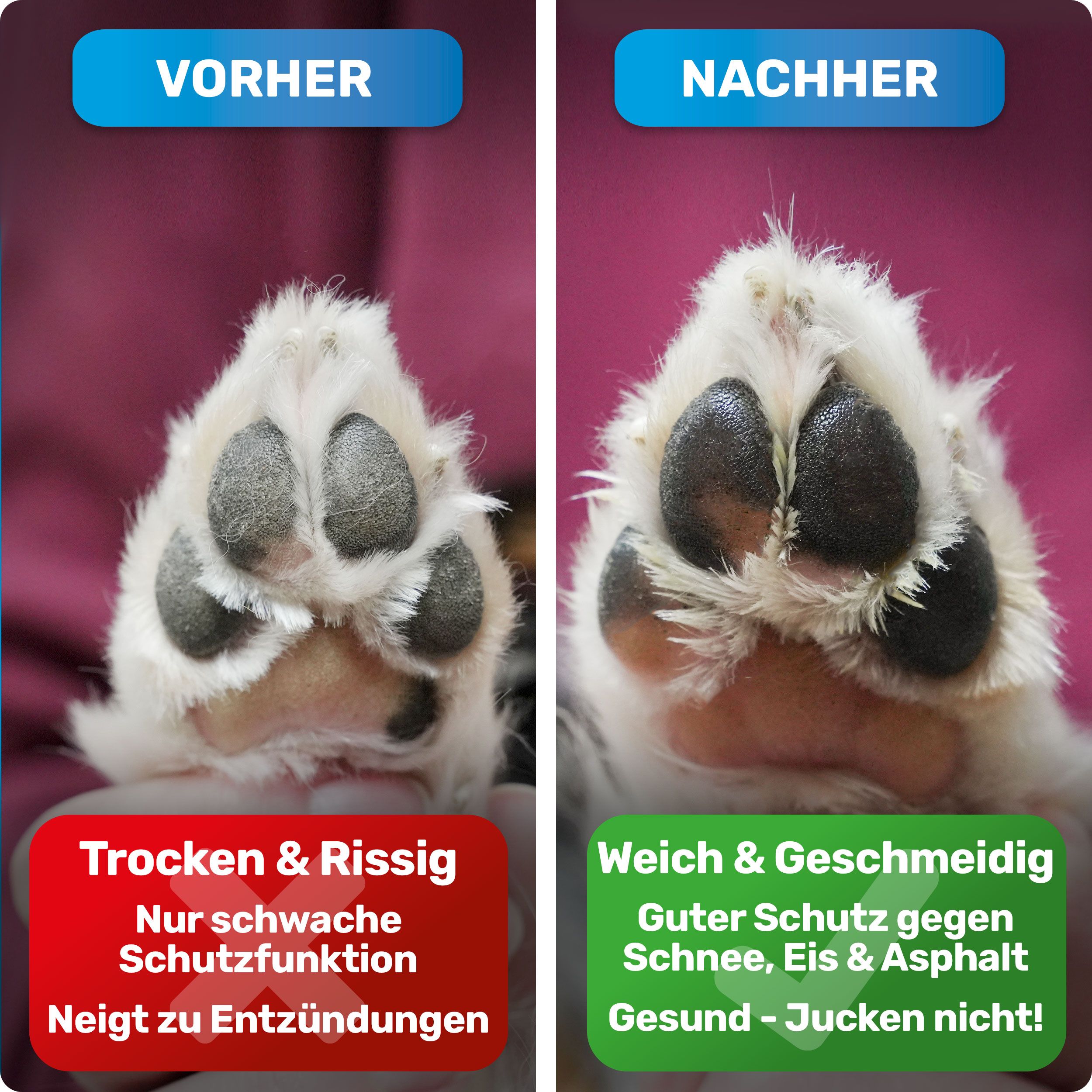 Vergleich von Hundepfoten: Vorher: Trocken & rissig. Nachher: Weich & geschmeidig. Text: Schutz gegen Schnee, Eis & Asphalt. Gesund.