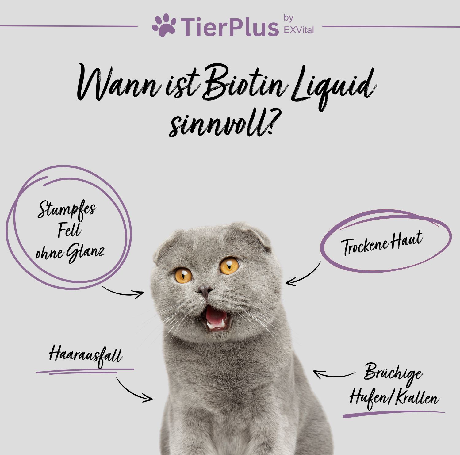 EXVital® TierPlus Biotin Liquid für Pferde, Hunde & Katzen
