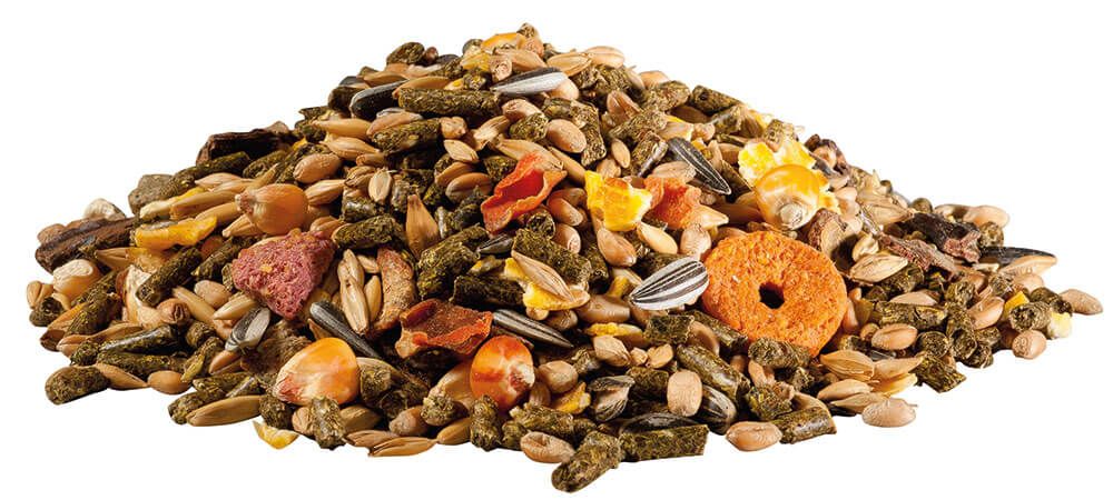 Haufen Tierfutter mit verschiedenen Zutaten: Körner, Samen, Gemüse und Pellets. Nahaufnahme, verschiedene Farben und Texturen.