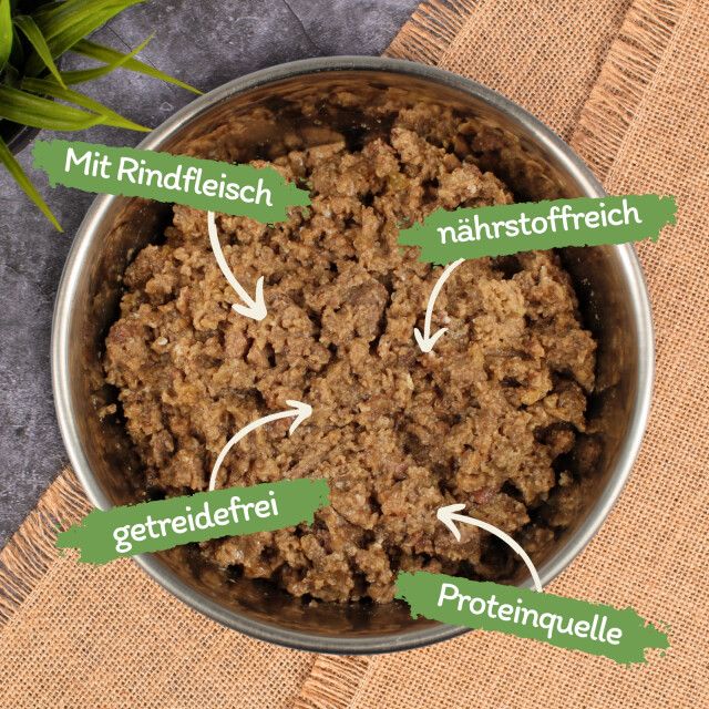Schüssel mit Katzenfutter. Pfeile zeigen auf: Mit Rindfleisch, nährstoffreich, getreidefrei, Proteinquelle. Auf braunem Stoff.