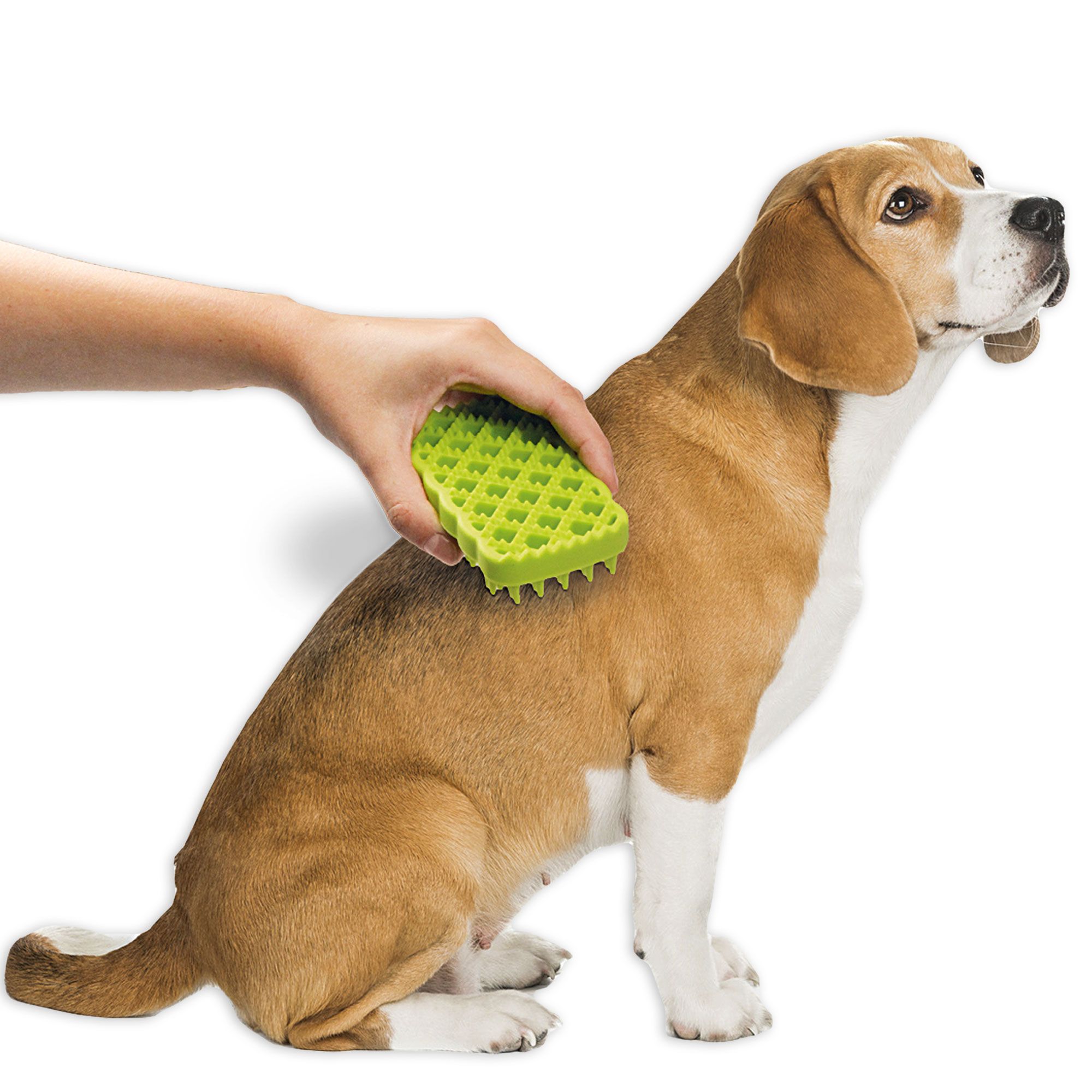 Leckmatte - plus 1x Tubidog Delikatess - Leberwurst für den Hund