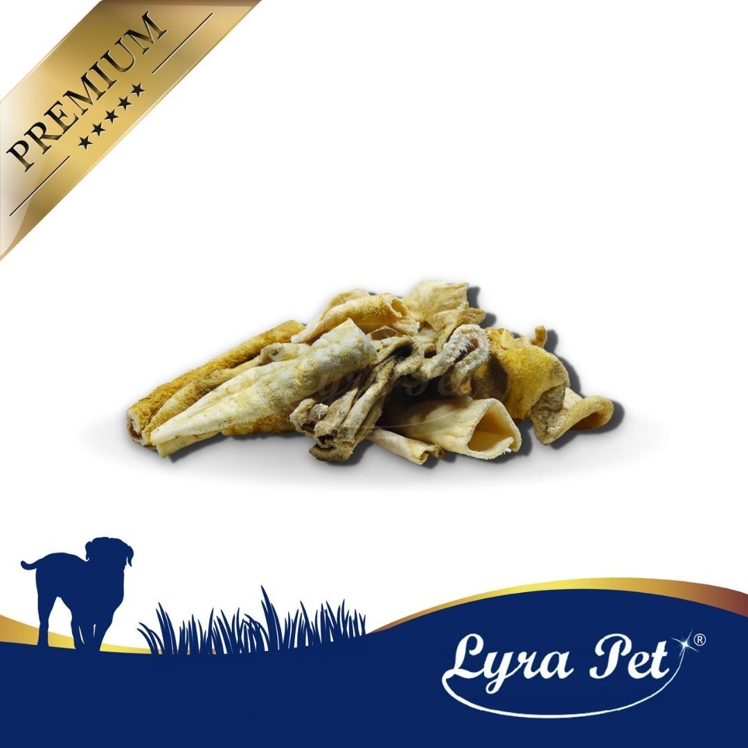 Lyra Pet® Rinderpansen weiß