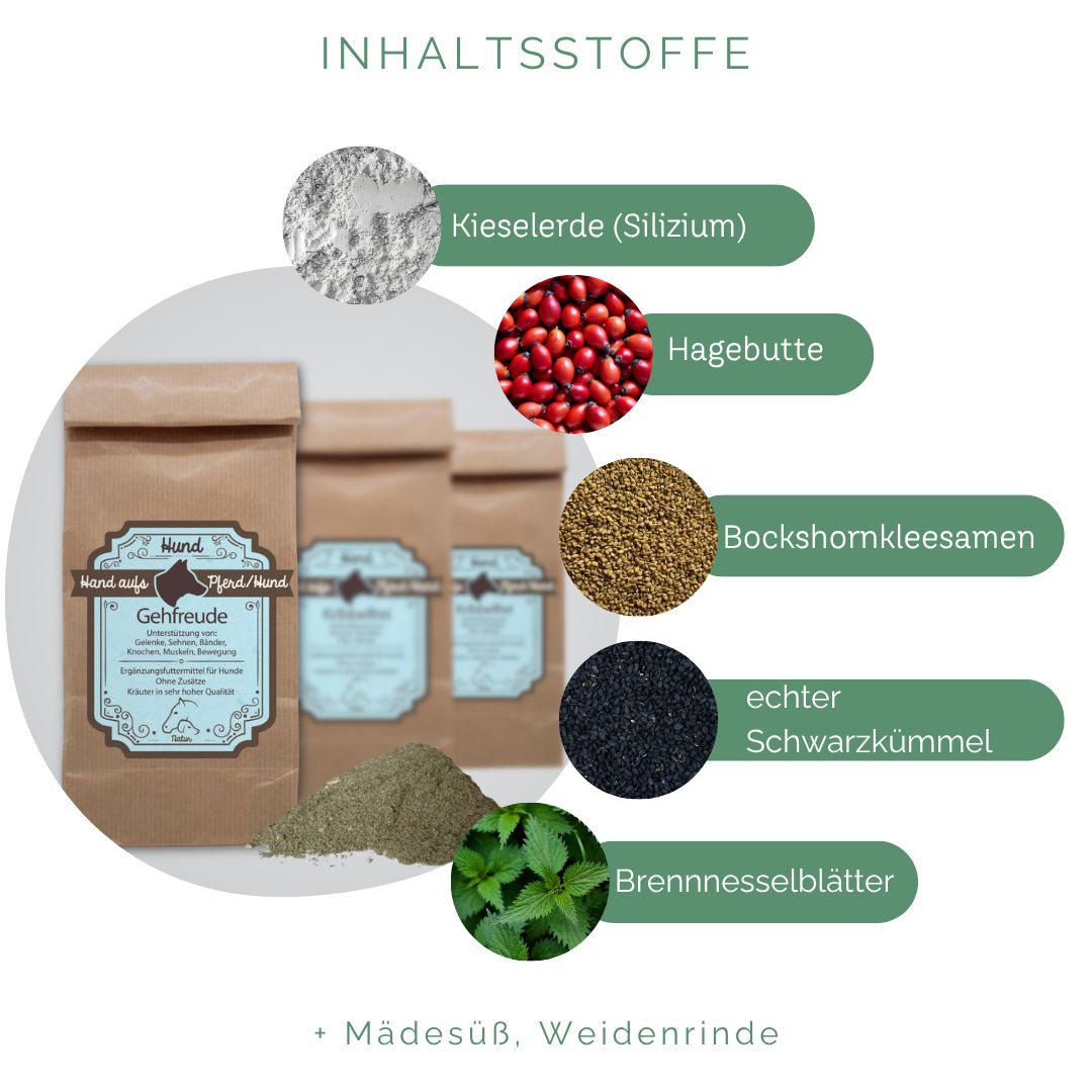 Drei braune Papiertüten mit blauem Etikett. Daneben Kräuter und Zutaten: Kieselgur, Hagebutte, Bockshornkleesamen, echter Schwarzkümmel, Brennnesselblätter.