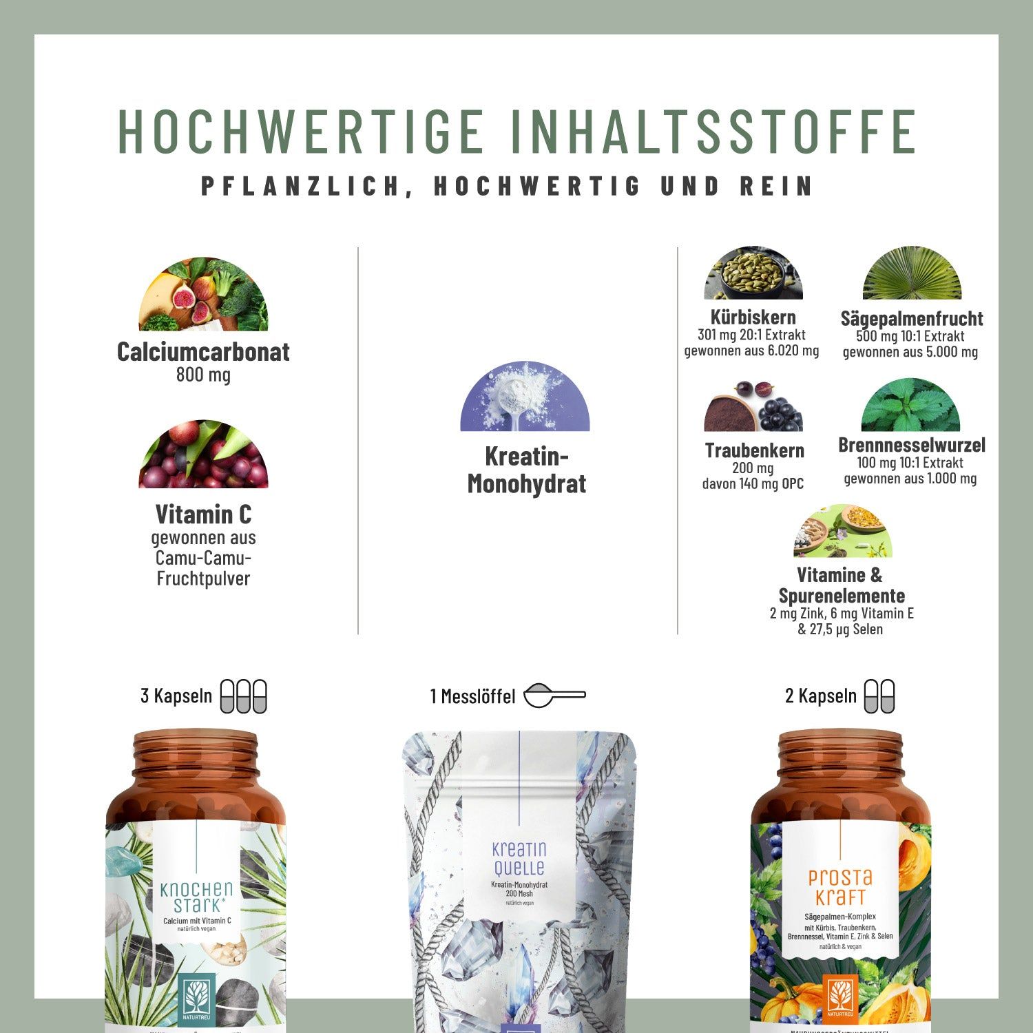 Infografik mit Inhaltsstoffen. Drei Behälter: KNOCHENSTARK, KREATINQUELLE, PROSTAKRAFT. Aufschrift: Hochwertige Inhaltsstoffe. Pflanzlich, hochwertig und rein.
