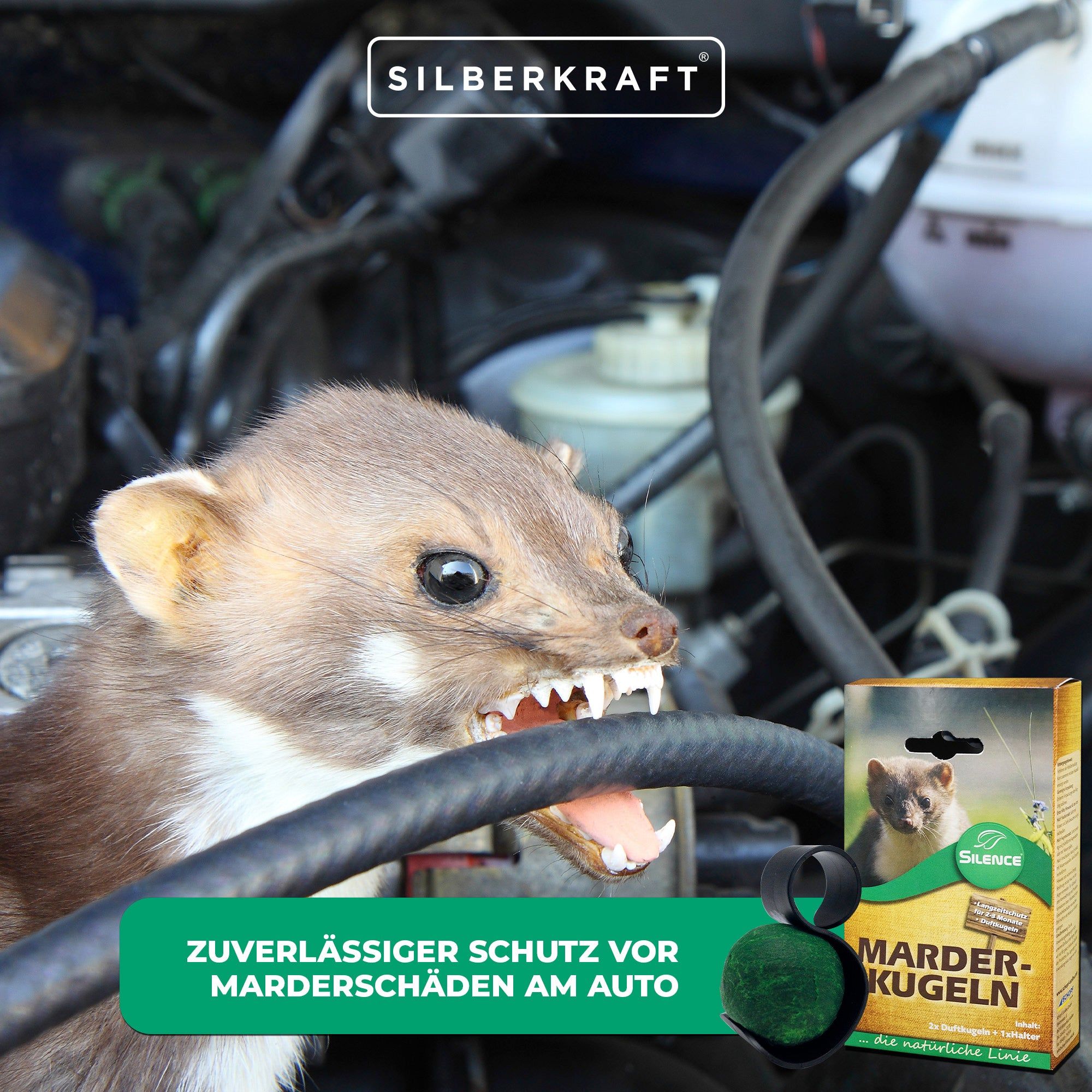 SILBERKRAFT Silence Marder-Duftkugeln