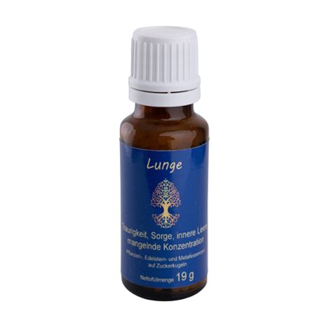 Qi-Complex Lunge