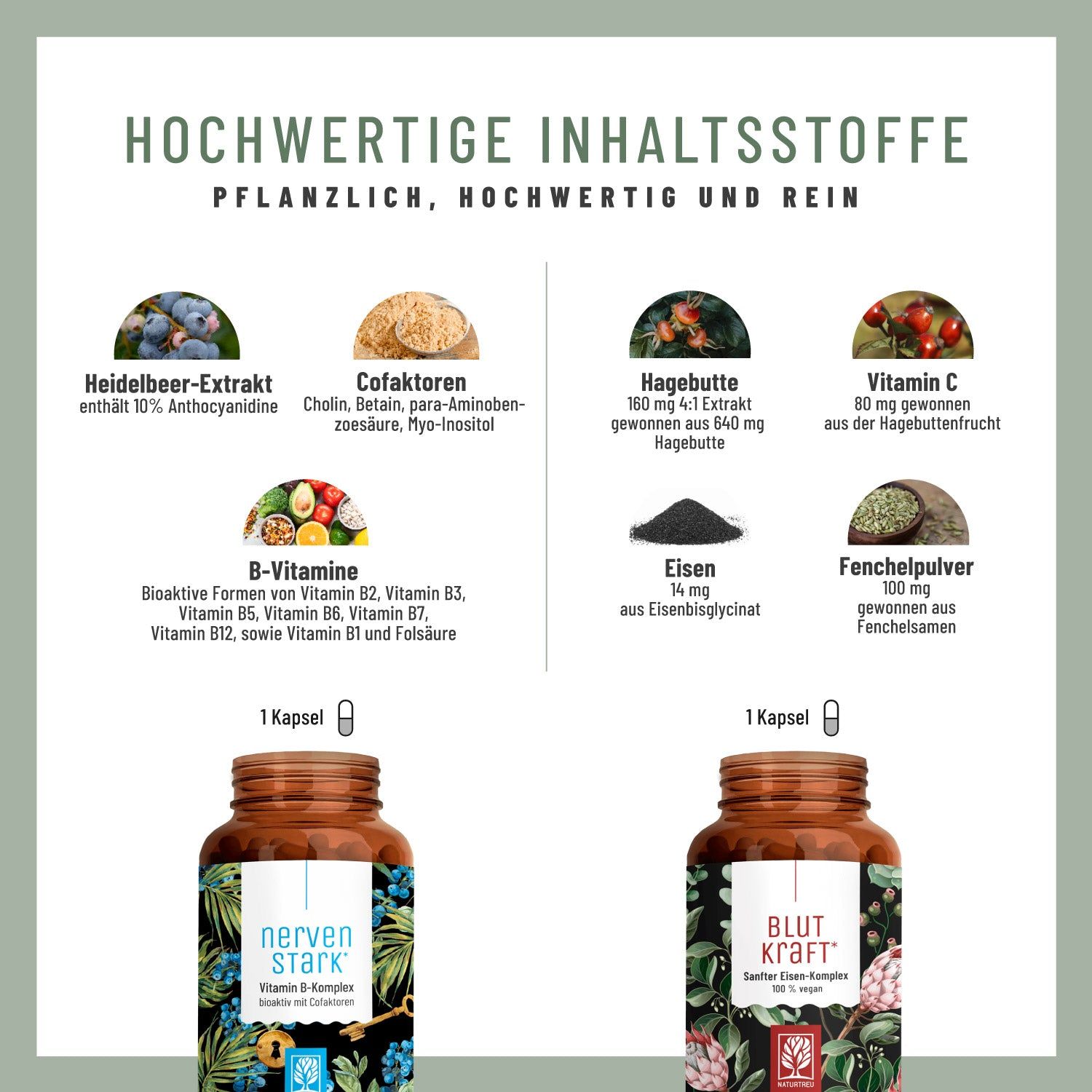 Infografik mit Inhaltsstoffen. Heidelbeer-Extrakt, Hagebutte, Vitamin C, B-Vitamine, Eisen, Fenchelpulver. Zwei Flaschen unten: NERVENSTARK, BLUTKRAFT.