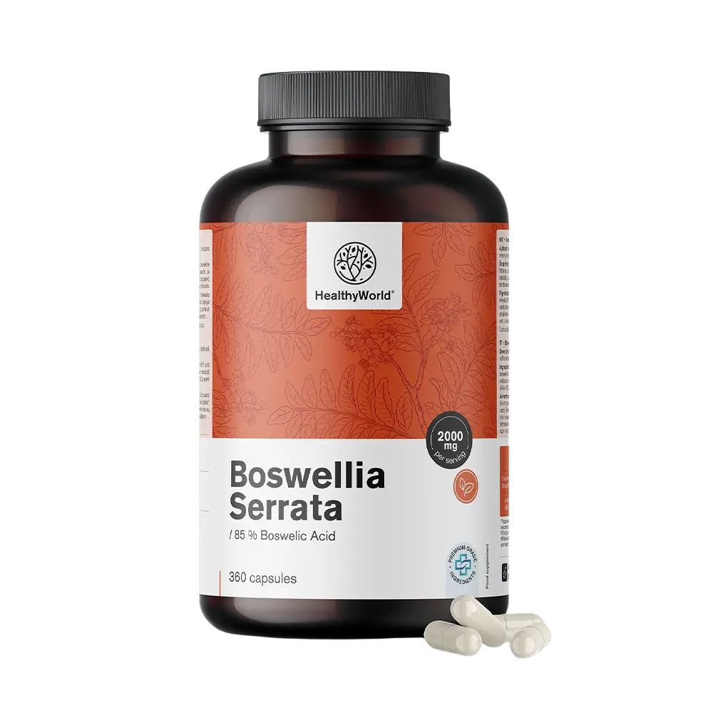 HealthyWorld Weihrauch (Boswellia serrata) – 85 % Boswelliasäure 360 St Kapseln