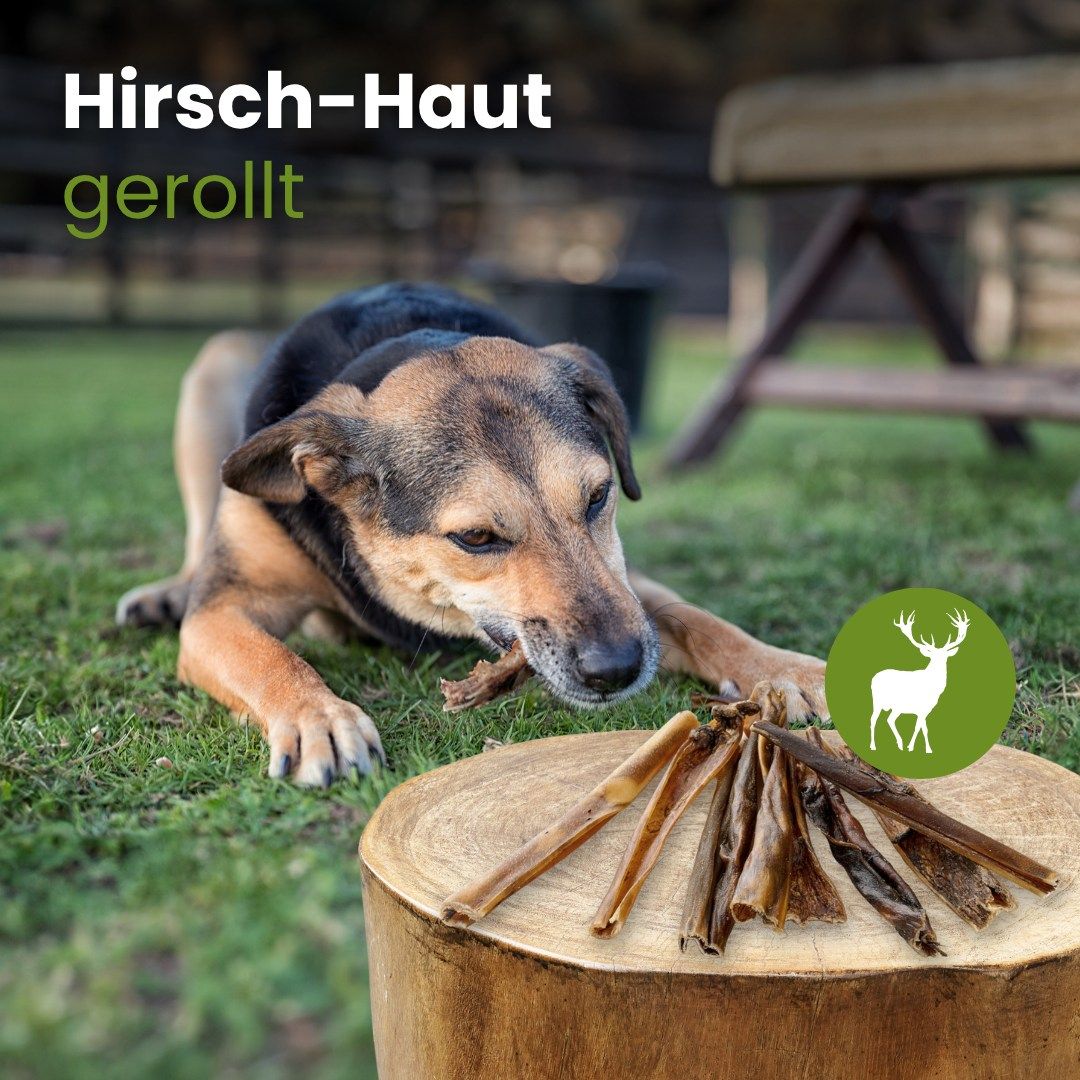 Mehrere getrocknete Hirschhaut-Streifen auf weißem Grund, mit Wasserzeichen.