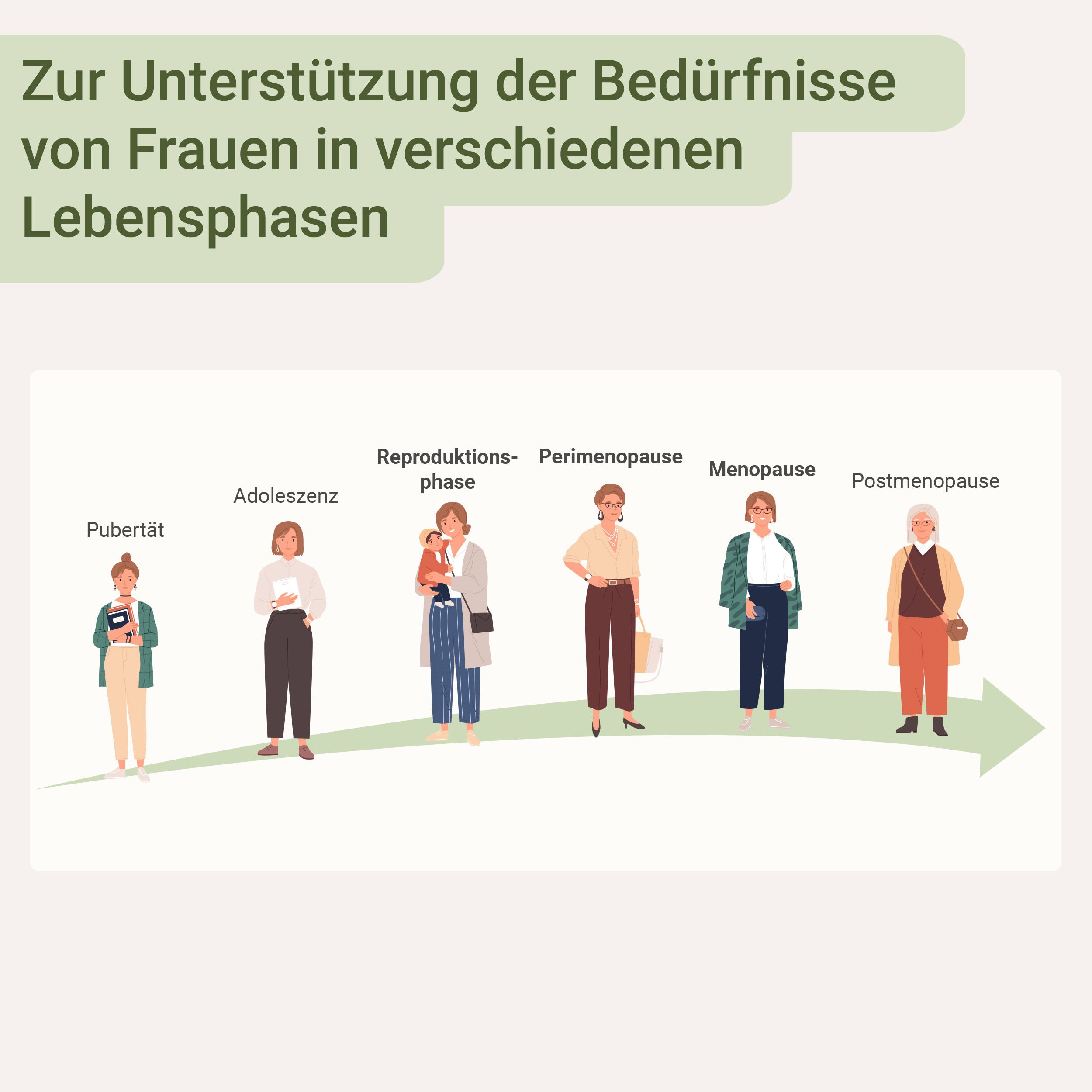 Illustration von Frauen in verschiedenen Lebensphasen: Pubertät, Adoleszenz, Reproduktionsphase, Perimenopause, Menopause, Postmenopause. Titel: Zur Unterstützung der Bedürfnisse von Frauen.