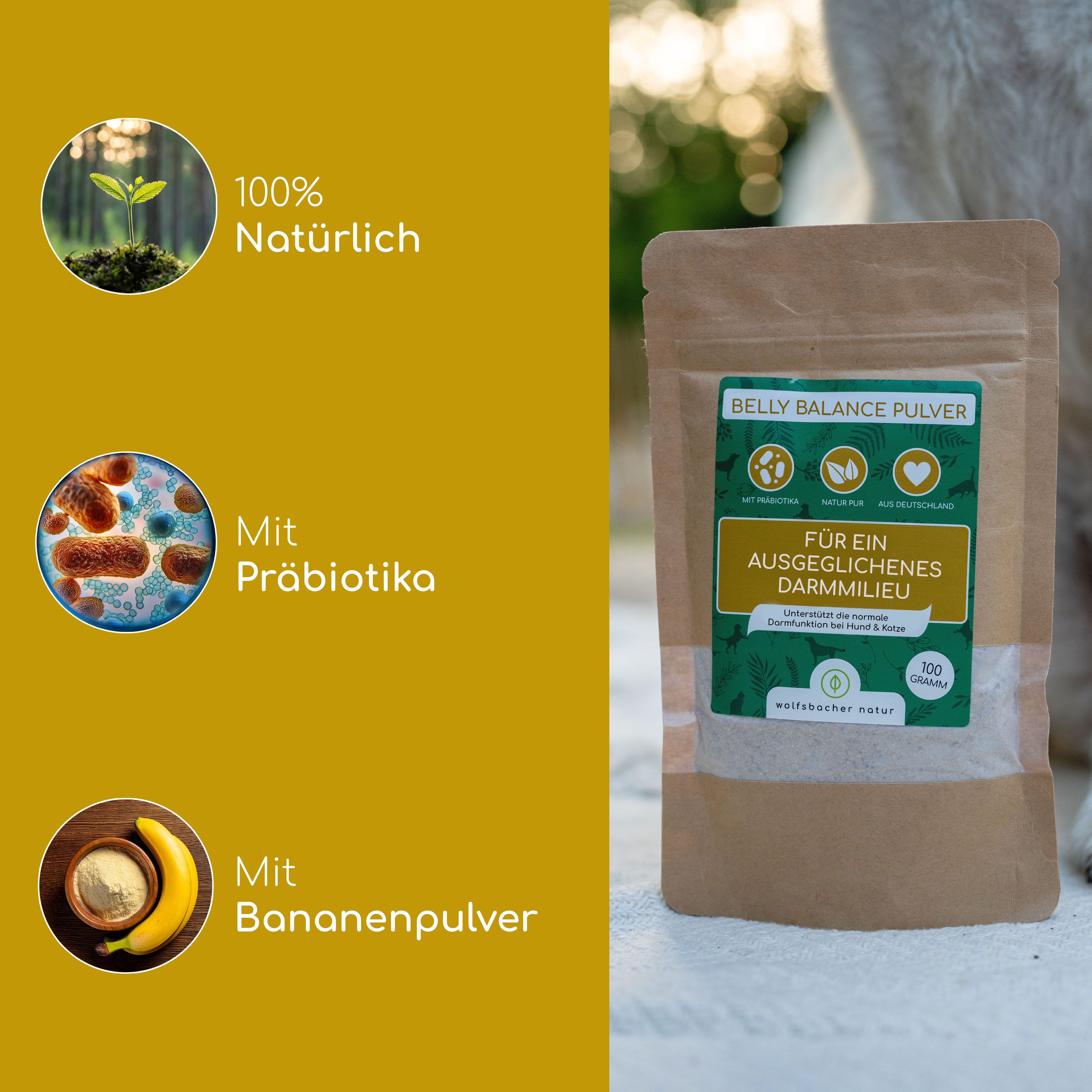 Produktbeutel mit grünem Etikett. Text: BELLY BALANCE PULVER, Für ein ausgeglichenes Darmmilieu. Zusätzliche Elemente: 100% natürlich, Mit Präbiotika, Mit Bananenpulver.