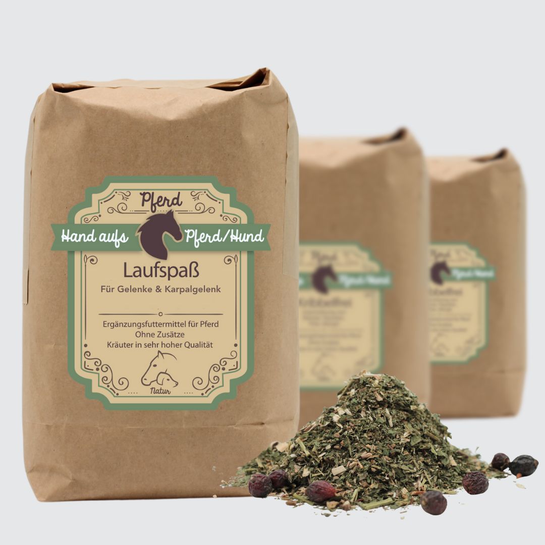 Drei braune Papiertüten mit Produktetikett und Kräutermischung. Text: Hand aufs Pferd/Hund, Laufspaß. Ergänzungsfuttermittel für Pferde.