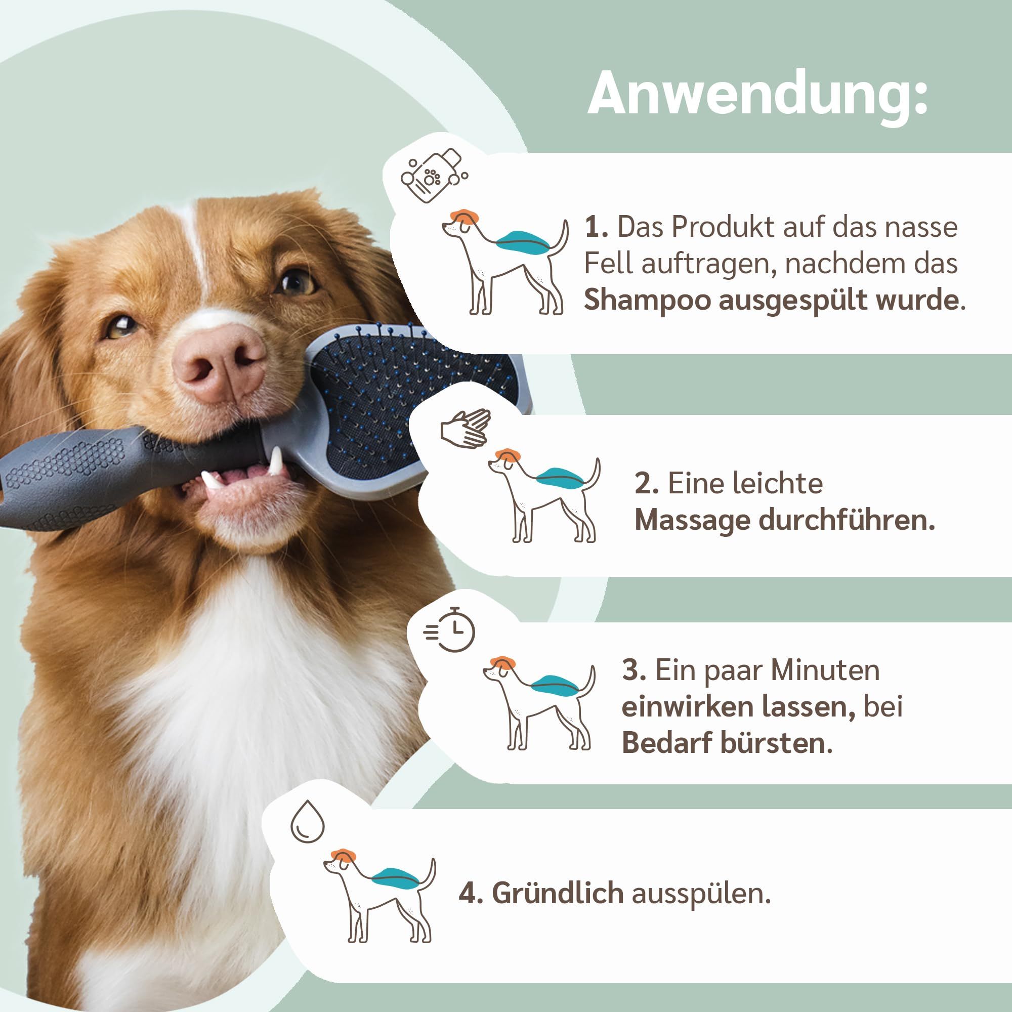 amusi Hunde Conditioner