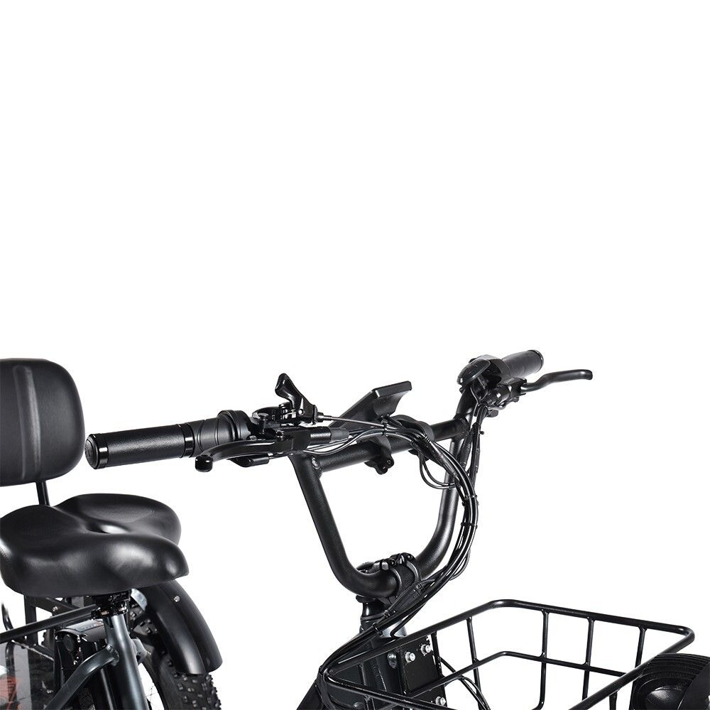 Nahaufnahme des Lenkers eines schwarzen Lastendreirads. Lenker, Korb, Bedienelemente, Sitz mit Rückenlehne.