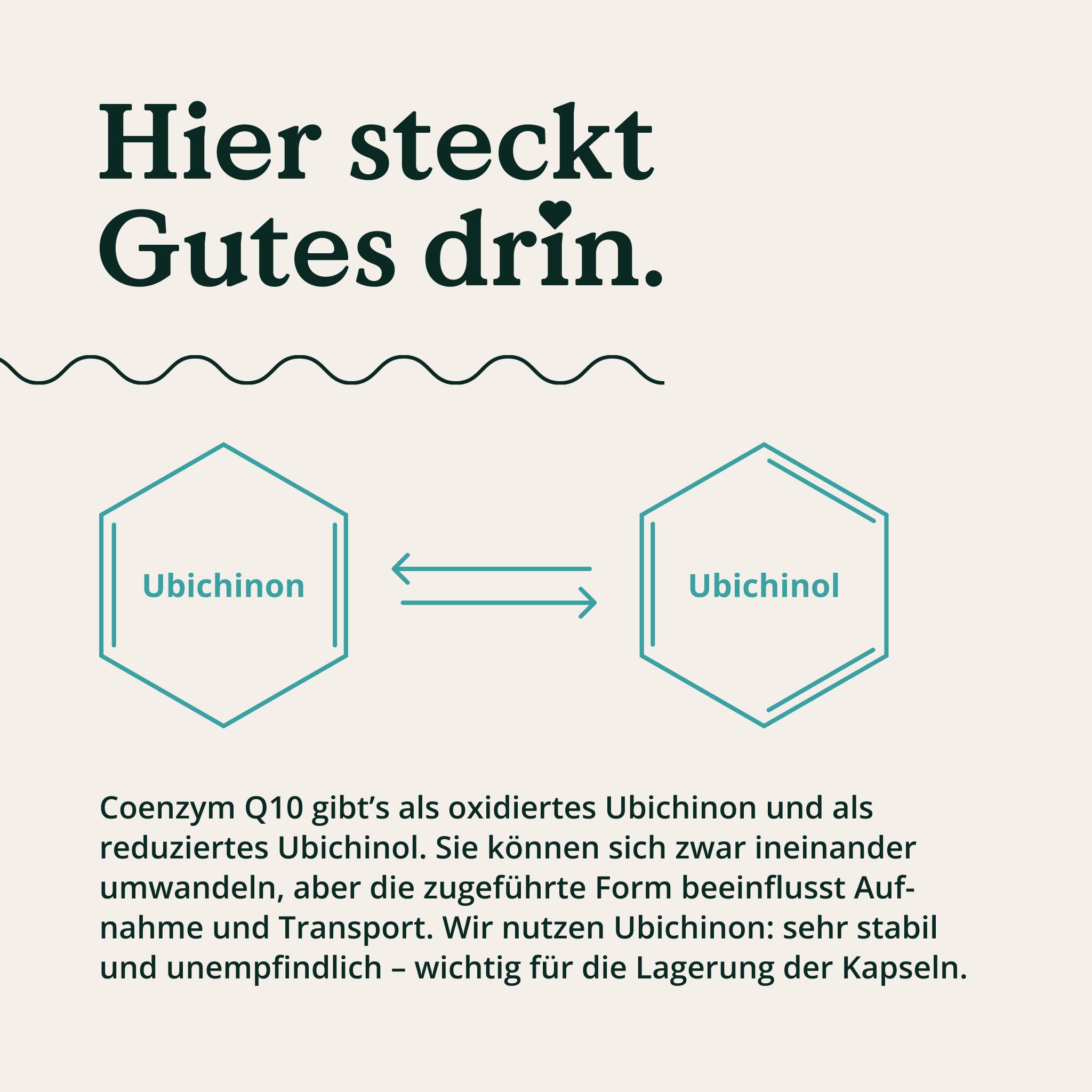 Grafik zeigt Ubichinon und Ubichinol im Gleichgewicht. Text erklärt die Formen von Coenzym Q10.