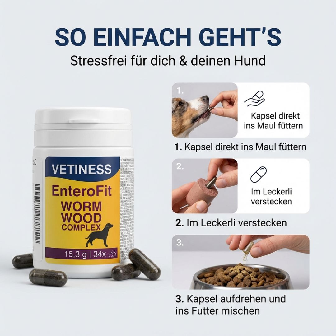 Anleitung zur Verabreichung. Kapsel direkt ins Maul, im Leckerli verstecken, ins Futter mischen. Produkt-Dose und Kapseln.