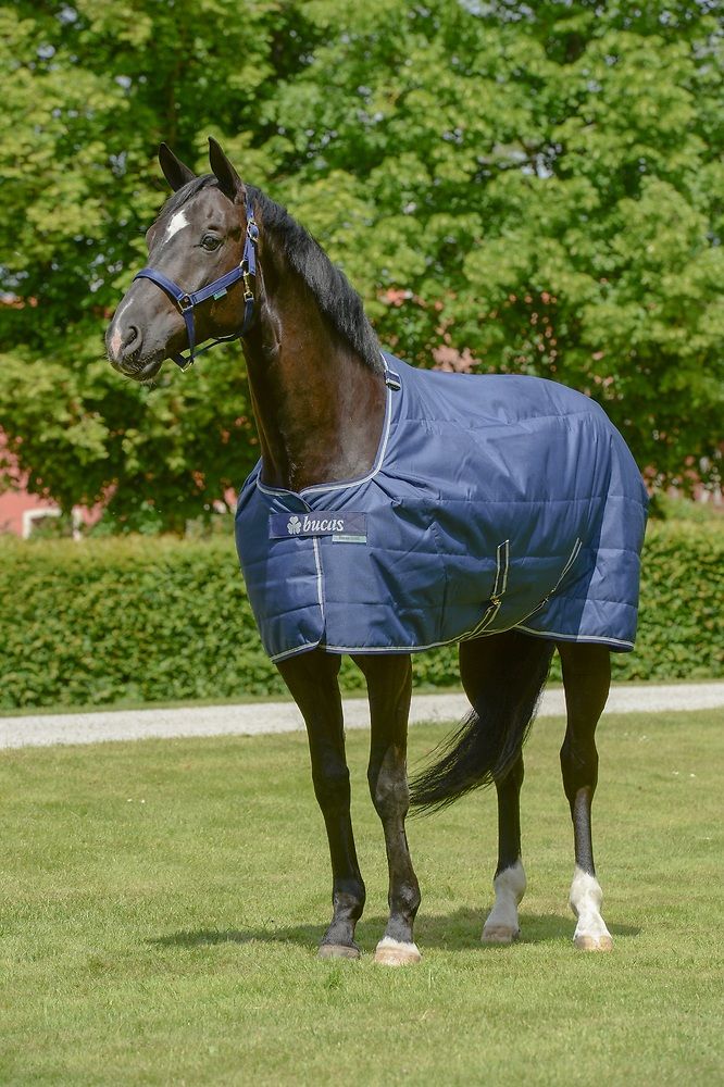 Blau Bucas Quilt SD. Steppdecke auf einem Pferd. Weißer Rand, Bucas-Logo. Pferd auf einer Wiese.