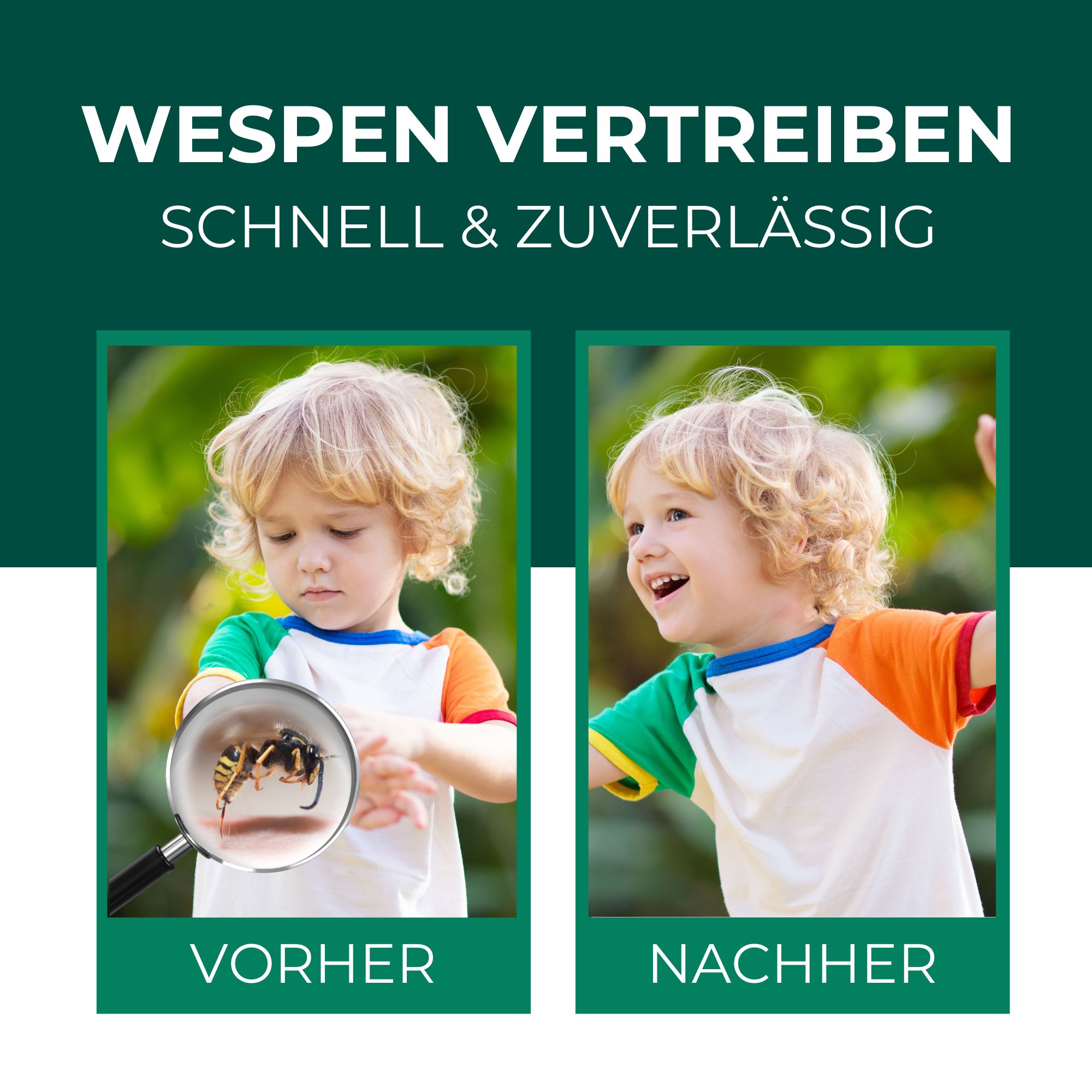 SILBERKRAFT Wespenspray