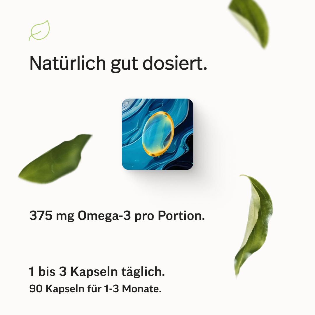 Kleine Darstellung einer Omega-3-Kapsel. Text: Natürlich gut dosiert. 375 mg Omega-3 pro Portion. 1 bis 3 Kapseln täglich. 90 Kapseln für 1-3 Monate.