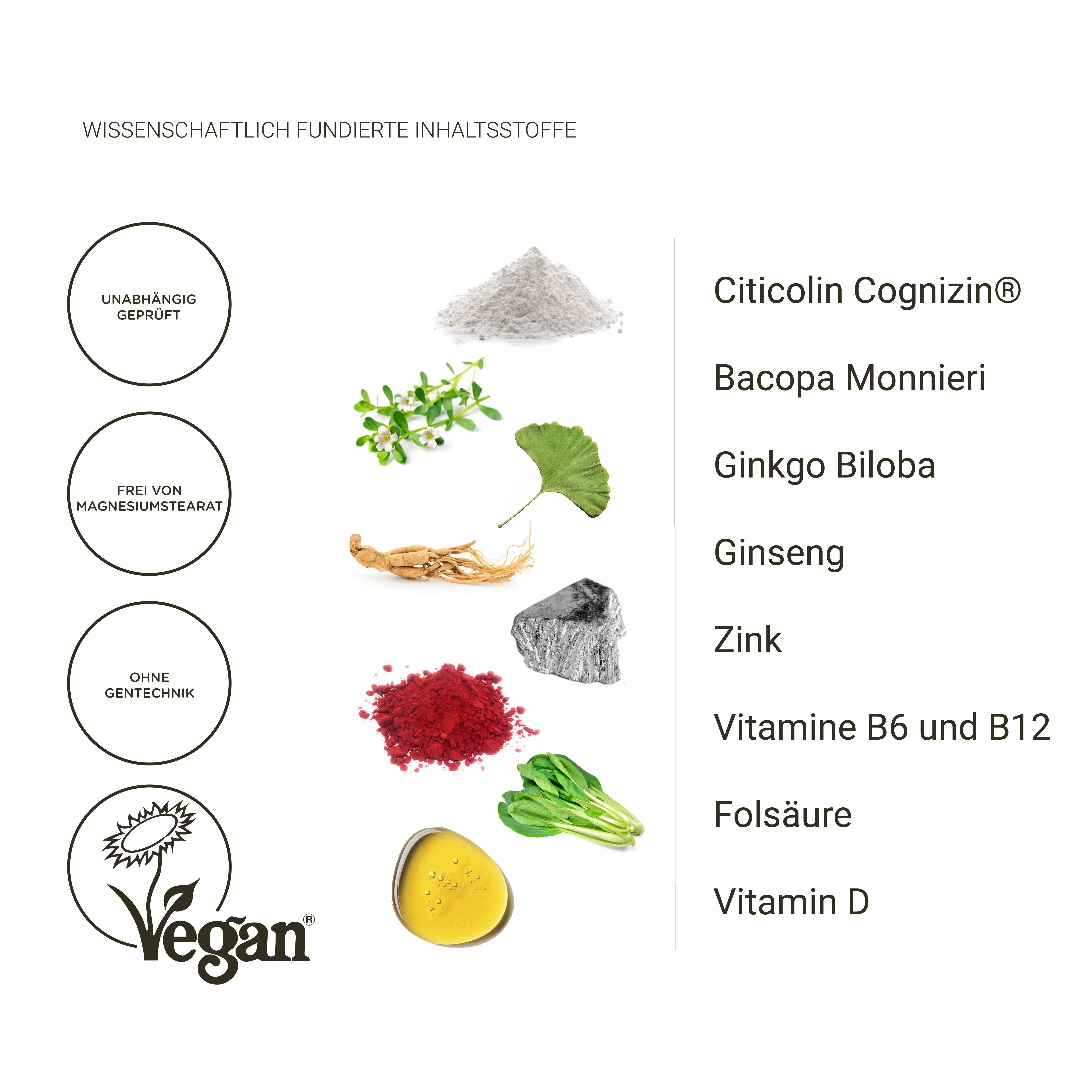Nullure Nootropikum – mit Cognizin Citicolin Ginkgo und Bacopa