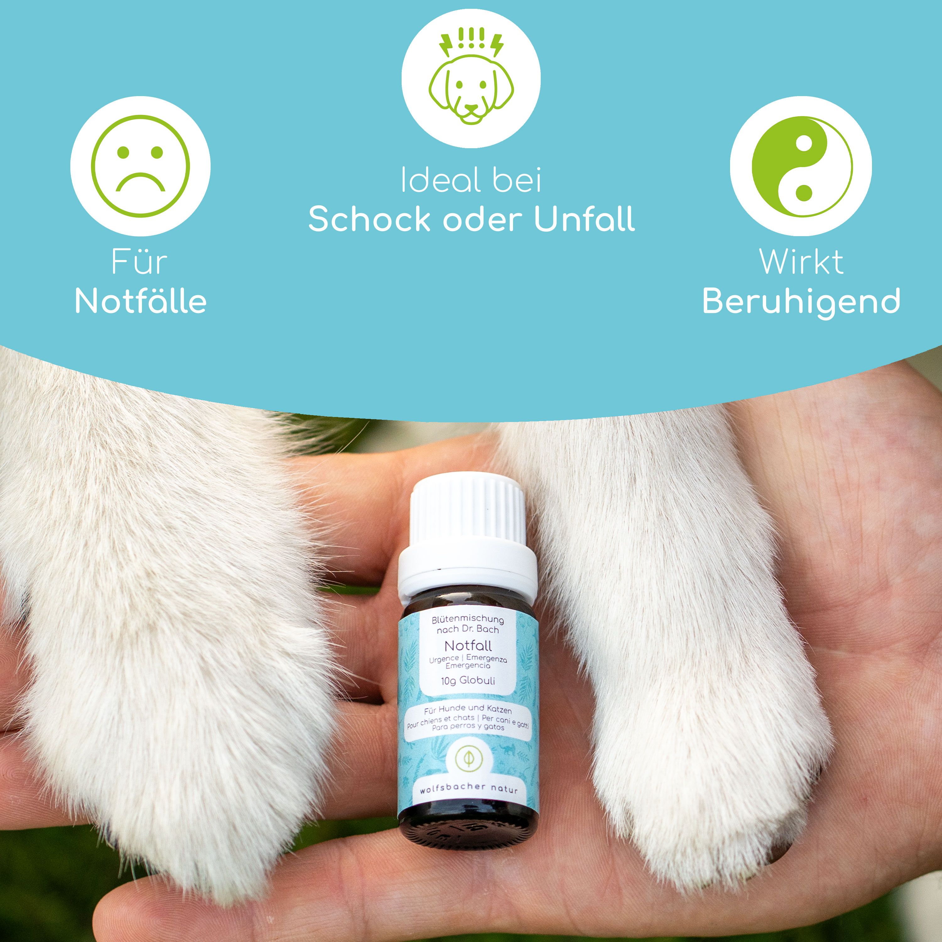 Kleine braune Flasche mit Produktetikett in einer Hand, neben Hundepfoten. Aufschrift: Notfall, Globuli, für Hunde und Katzen.