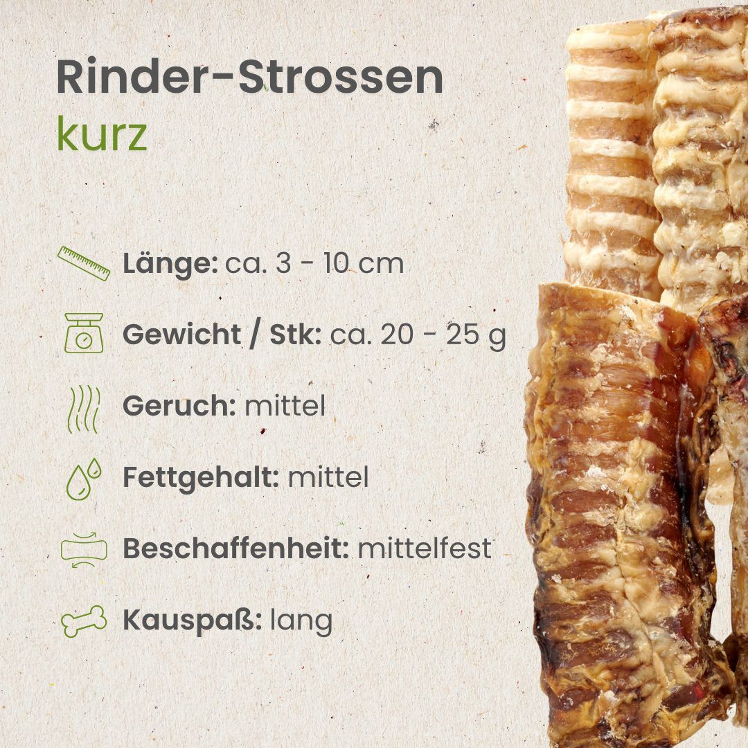 Kurze Rinder-Strossen: Ein Hund kaut auf Rinder-Strossen. Nahaufnahme von Rinder-Strossen auf einem Baumstamm.