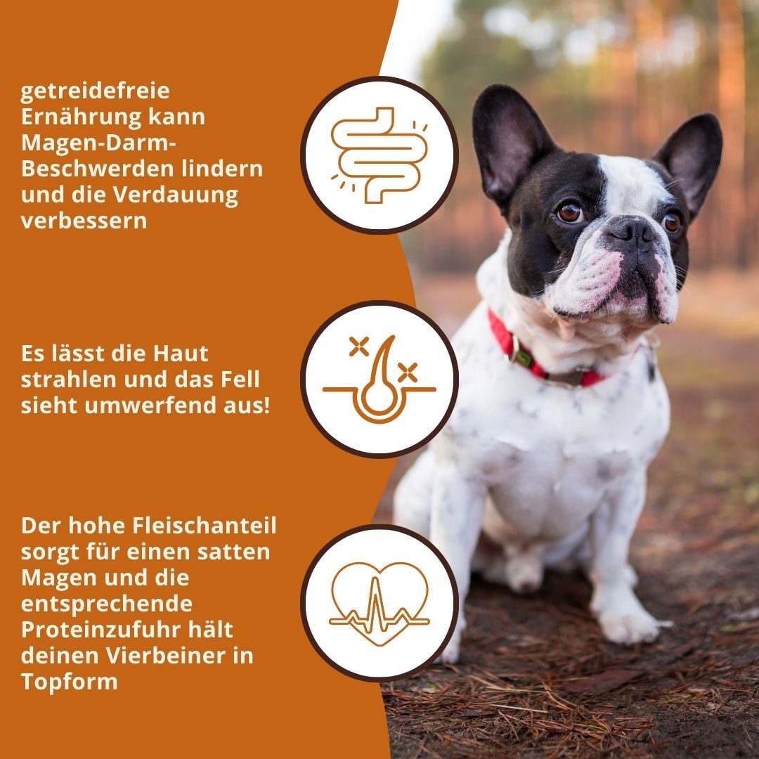 Hund mit Text und Symbolen. Text: getreidefreie Ernährung, gesunde Verdauung, Fellglanz, hoher Fleischanteil.