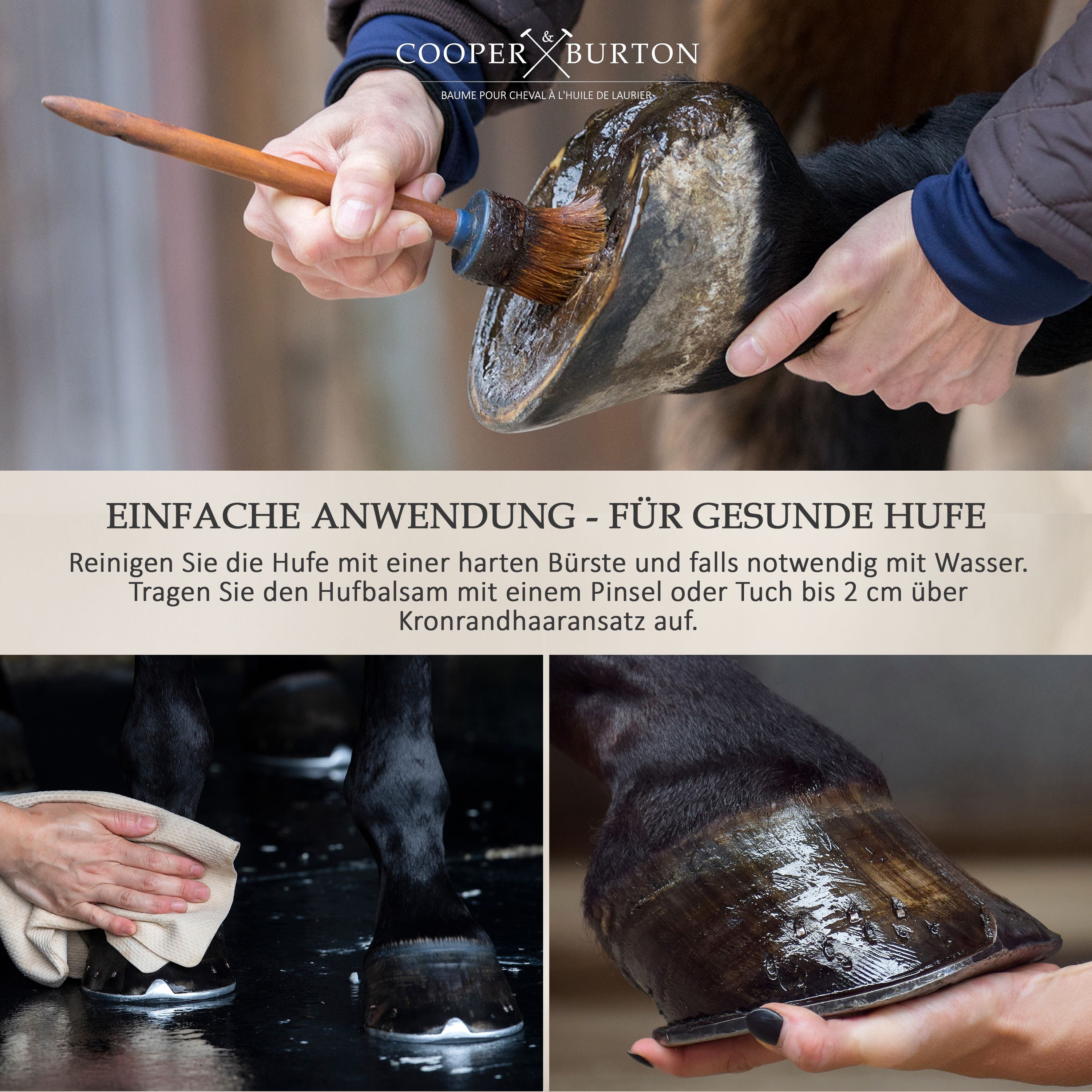 Pinsel und Huf. Anwendungshinweise. Logo: COOPER & BURTON. Gesunde Hufe.