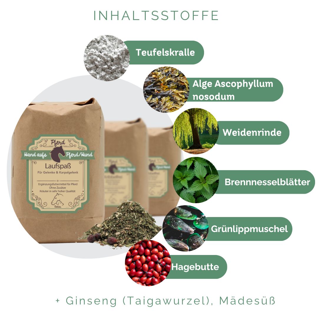 Braune Papiertüte mit Produktetikett und Kräutermischung. Zutaten: Teufelskralle, Algen, Weidenrinde, Brennnesselblätter, Grünlippmuschel, Hagebutte.