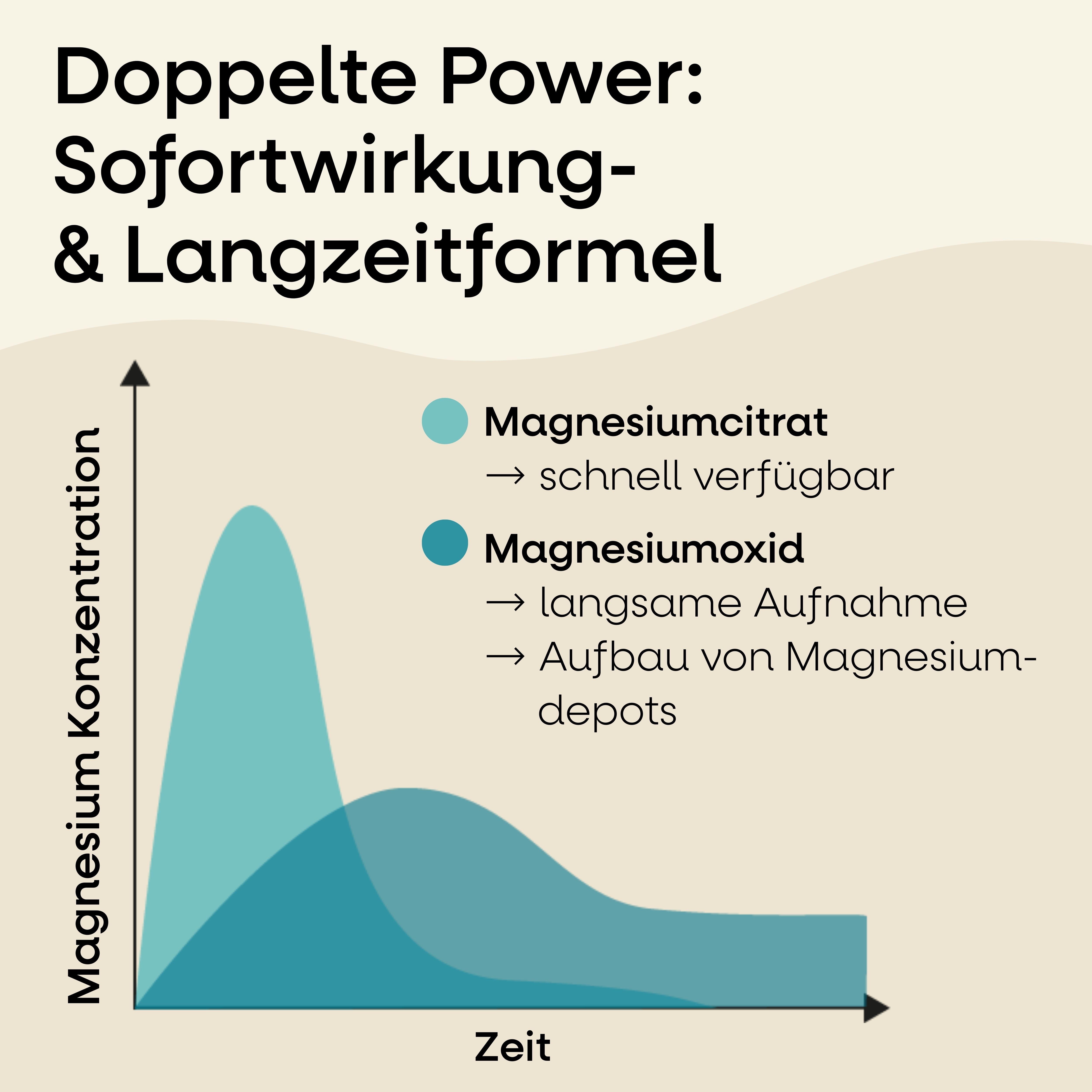 Diagramm: Magnesiumkonzentration vs. Zeit. Magnesiumcitrat: schnell verfügbar. Magnesiumoxid: langsame Aufnahme, Aufbau von Magnesiumdepots.