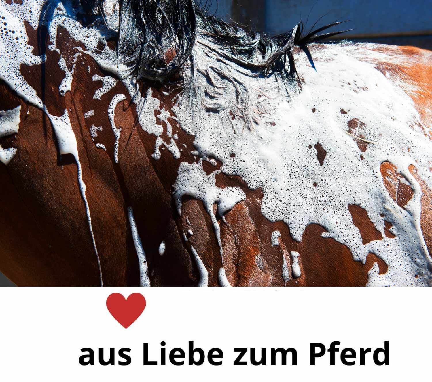 Pferd mit Schaum bedeckt. Text: aus Liebe zum Pferd. Rotes Herz-Symbol.