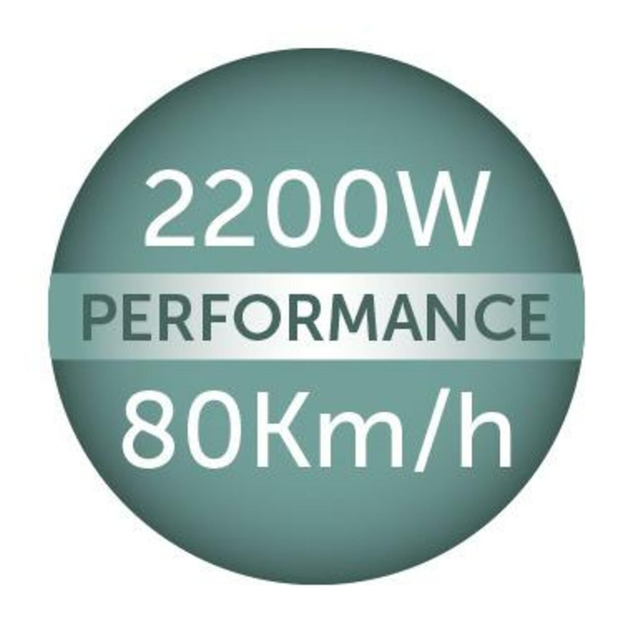 Runde Grafik mit Leistungsangaben: 2200W Performance, 80Km/h.