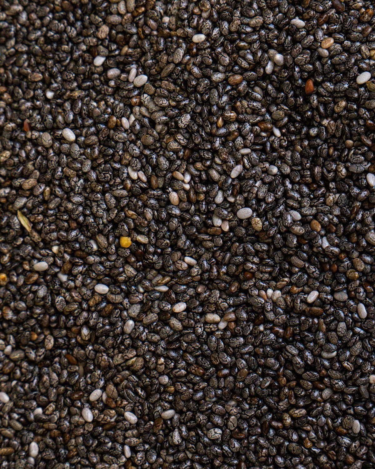 Nahaufnahme von Chia Samen. Schwarze und graue Samen, leicht glänzend, bilden eine dichte Textur.