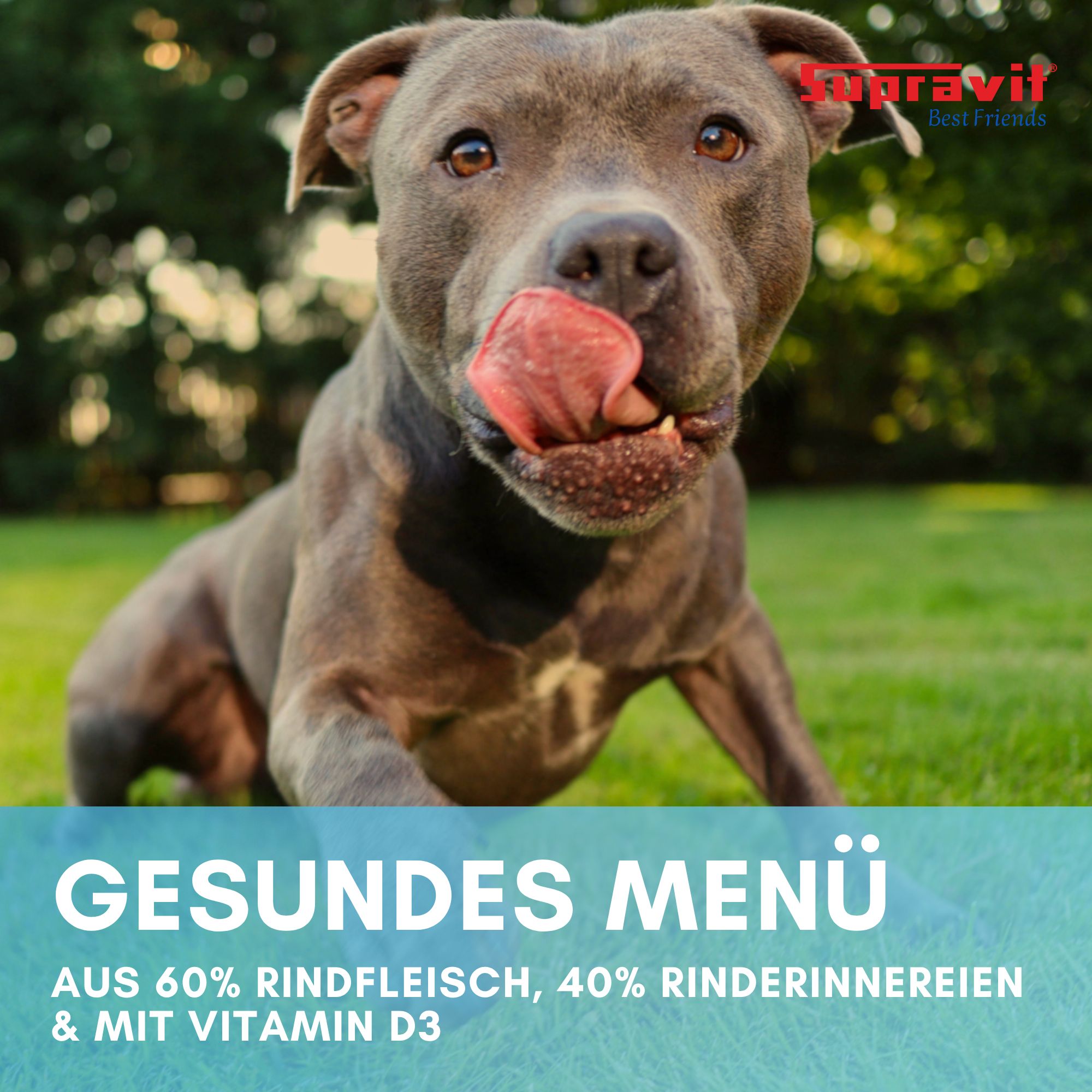 Hund leckt sich die Lippen. Text: Gesundes Menü. Enthält 60% Rindfleisch, 40% Innereien und Vitamin D3. Marke Supravit.