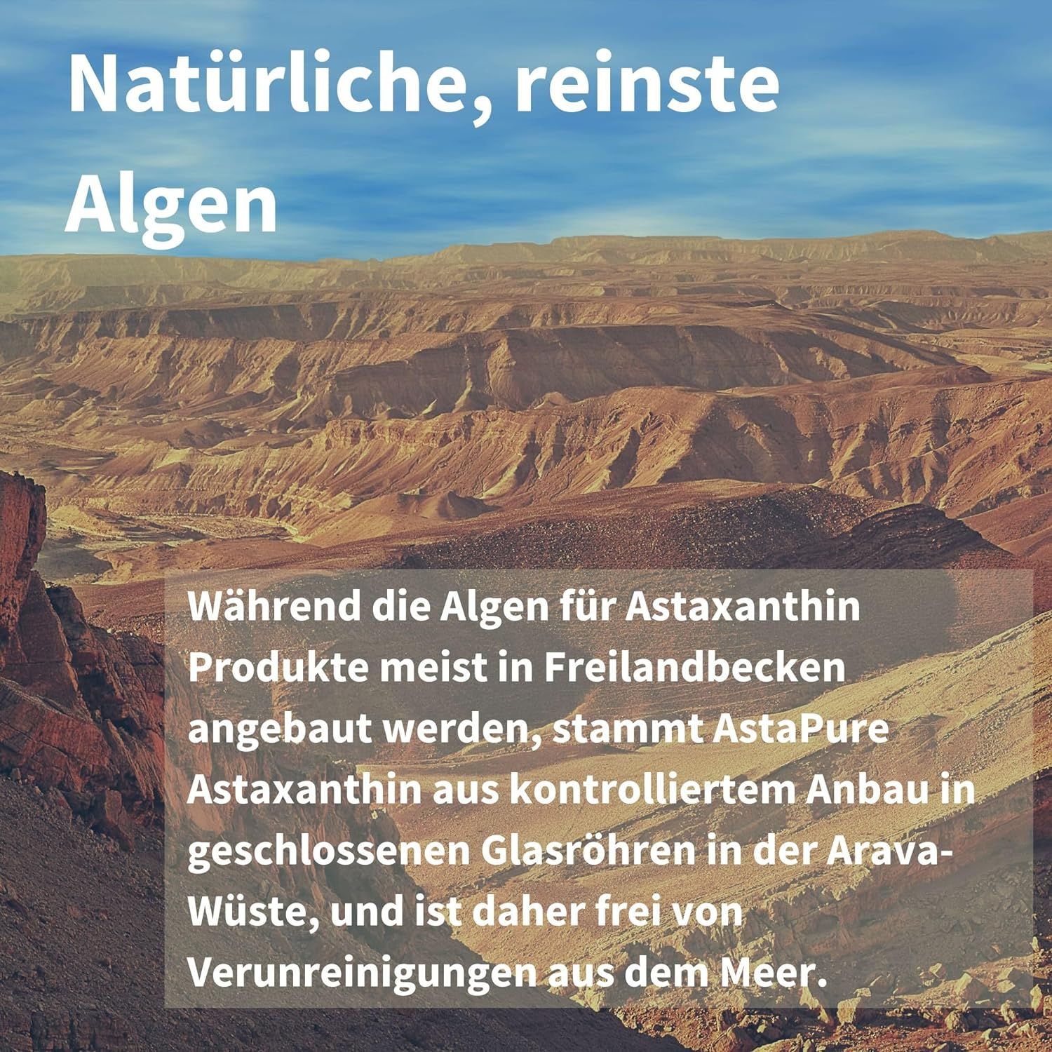 Paesaggio desertico con testo: Alghe naturali e purissime. AstaPure Astaxantina da coltivazione controllata in tubi di vetro.