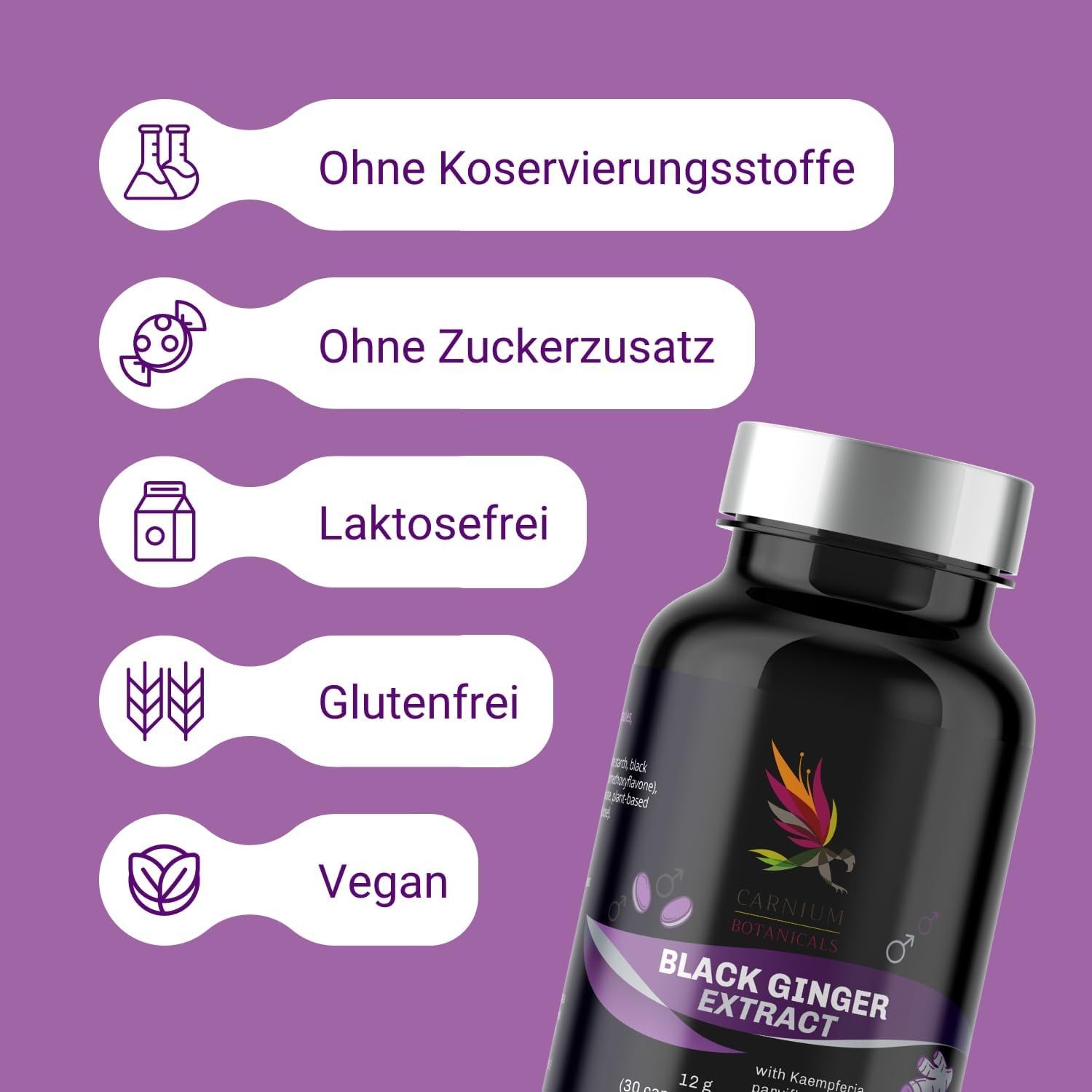 Produktflasche mit Aufschrift: Black Ginger Extract. Text: Ohne Konservierungsstoffe, Zuckerzusatz, laktosefrei, glutenfrei, vegan.