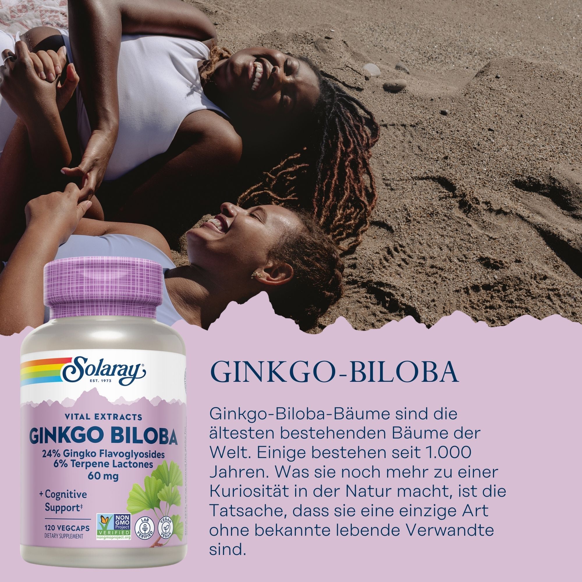 Solaray Ginkgo-Biloba Extrakt 60 mg 24%