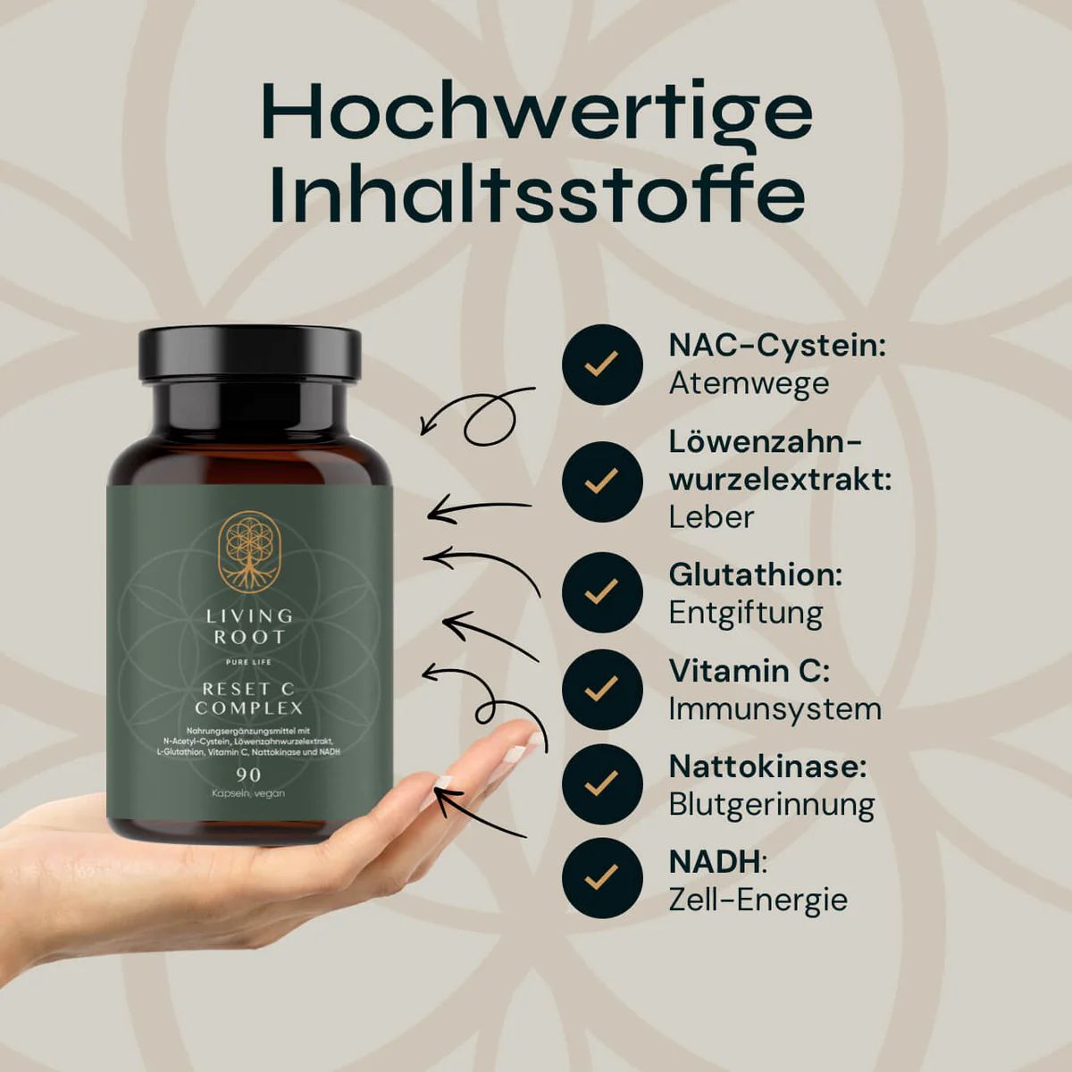 Hand hält eine braune Flasche. Pfeile zeigen auf Inhaltsstoffe: NAC-Cystein, Löwenzahnextrakt, Glutathion, Vitamin C, Nattokinase, NADH.