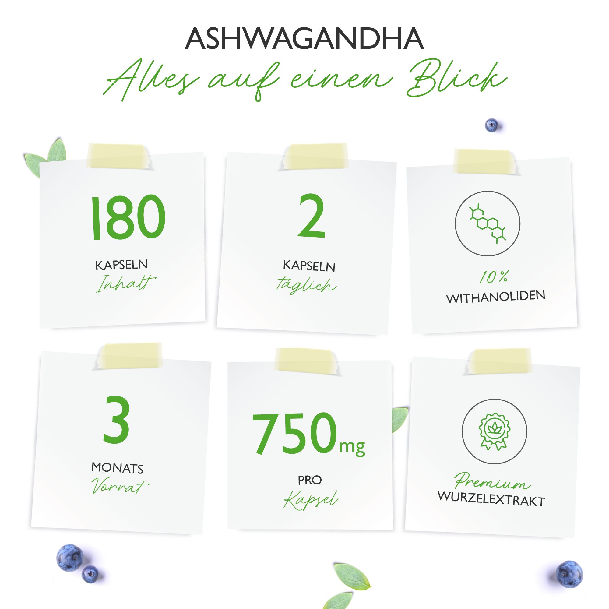 vit4ever Ashwagandha Extrakt 180 St Kapseln