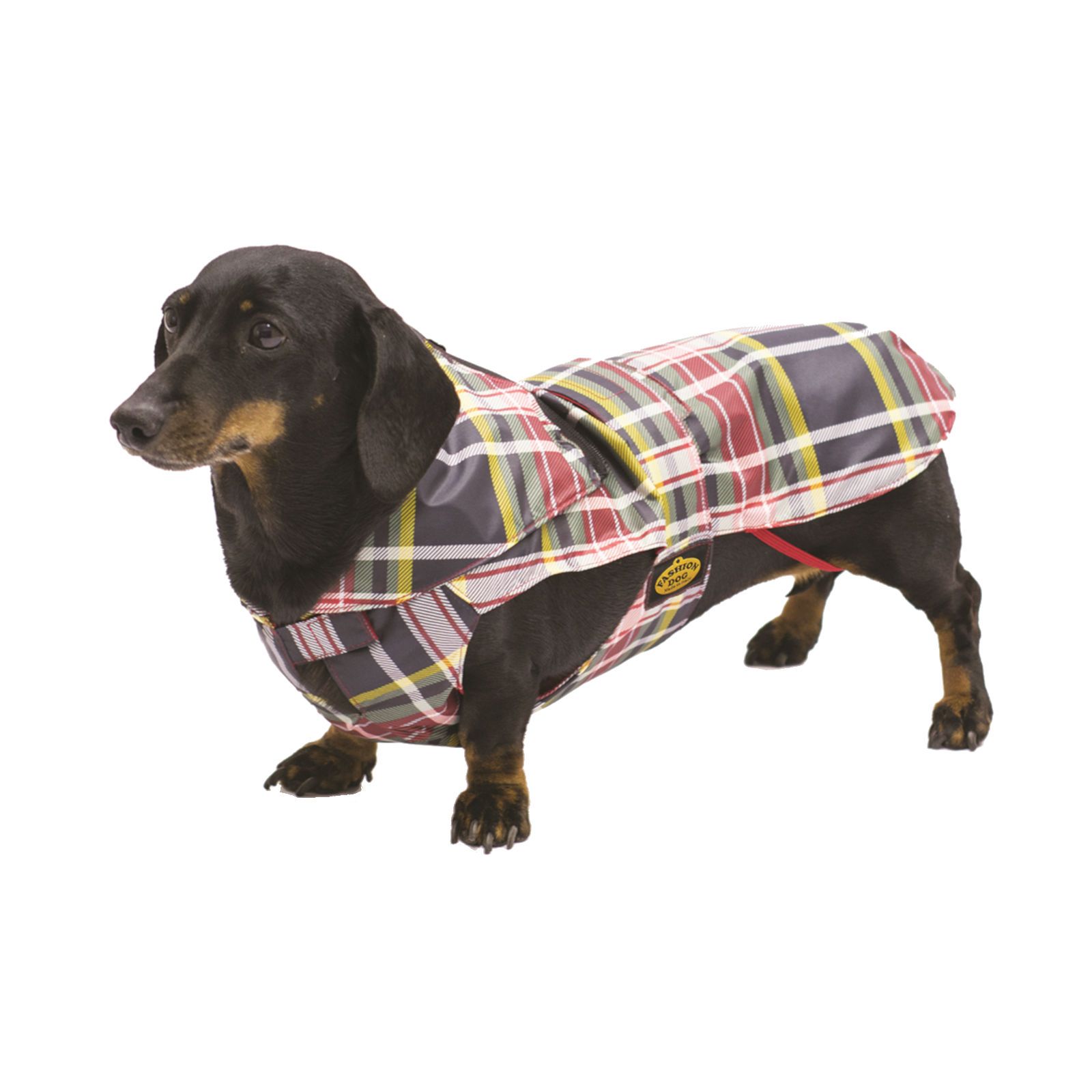 Dackel-Regenmantel, Tartan-Muster, gelb, rot, grau. Hund trägt Mantel. Gelbes Logo.
