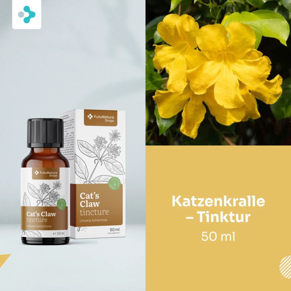 Braune Glasflasche mit schwarzem Deckel und Kartonverpackung für Katzenkralle Tinktur, 50 ml.