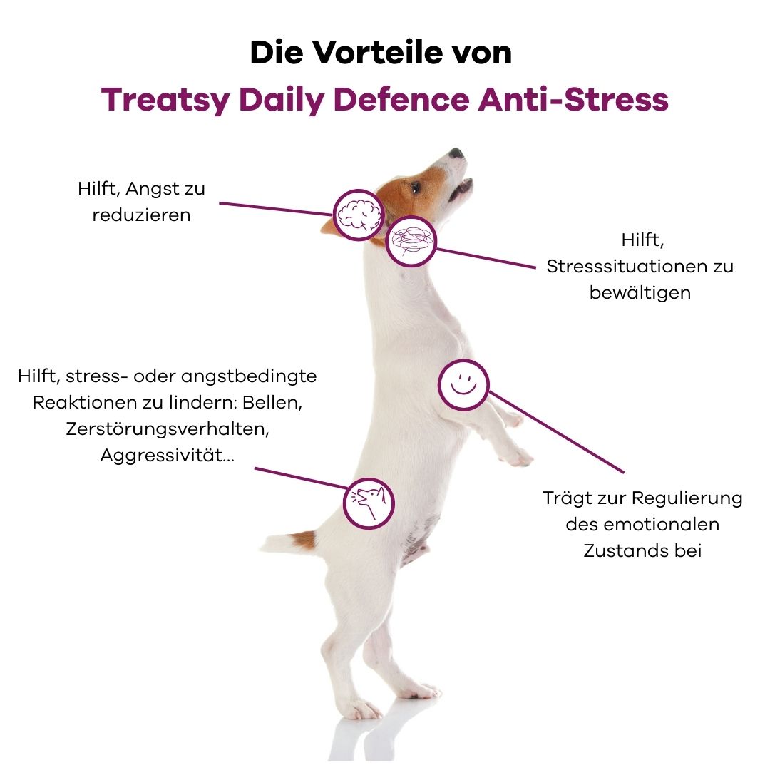 Grafik mit einem Hund, der auf zwei Beinen steht. Text zeigt Vorteile von Treatsy Daily Defence Anti-Stress: Angst reduzieren, Stresssituationen bewältigen.