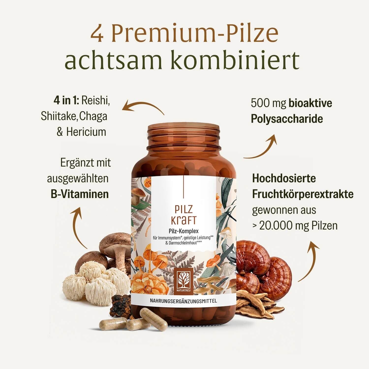 Pilz Komplex Dose mit 4 Premium-Pilzen, B-Vitaminen und Fruchtkörperextrakten.