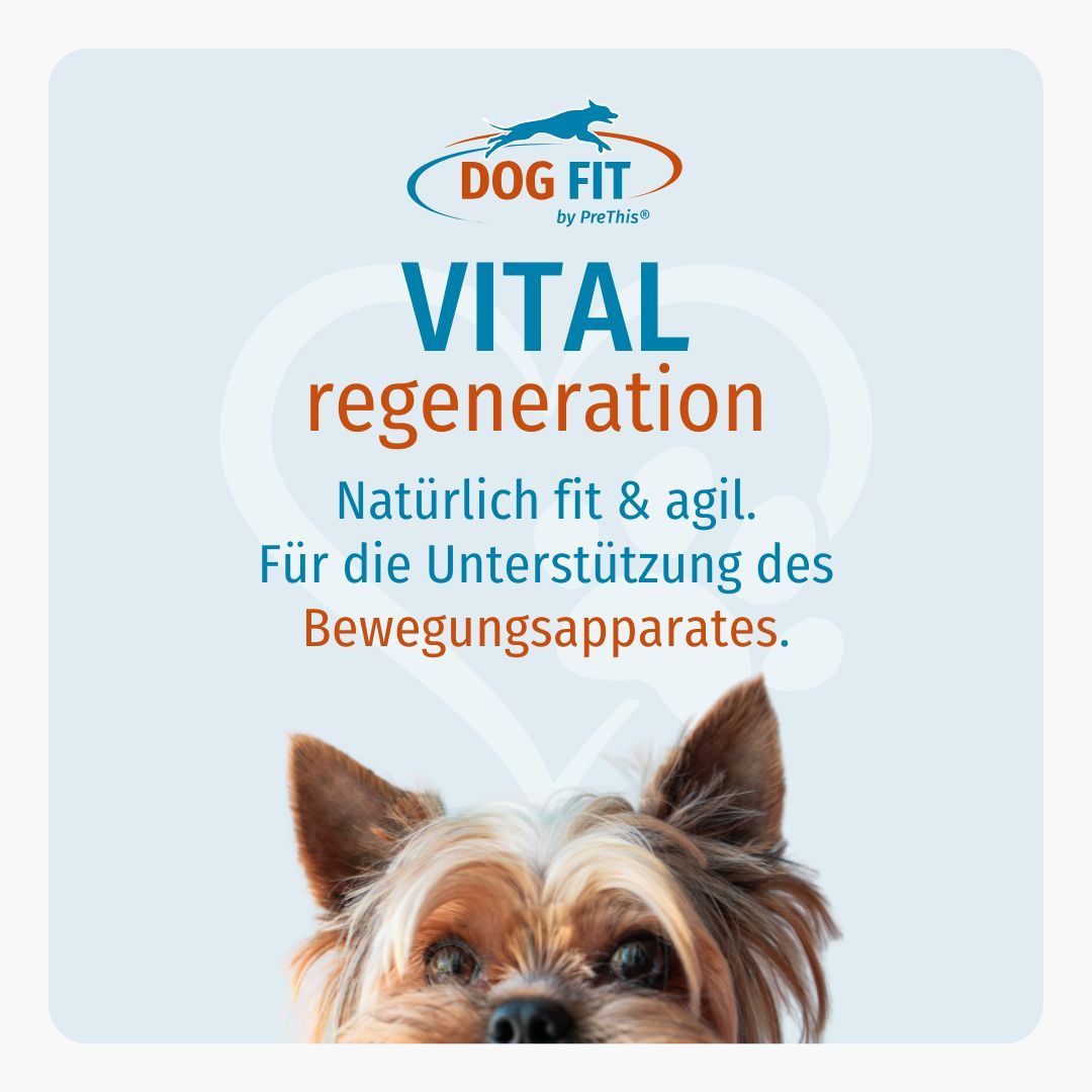Grafik mit DOG FIT Logo und Produktbezeichnung. Text: VITAL regeneration, Natürlich fit & agil. Für die Unterstützung des Bewegungsapparates. Hund.