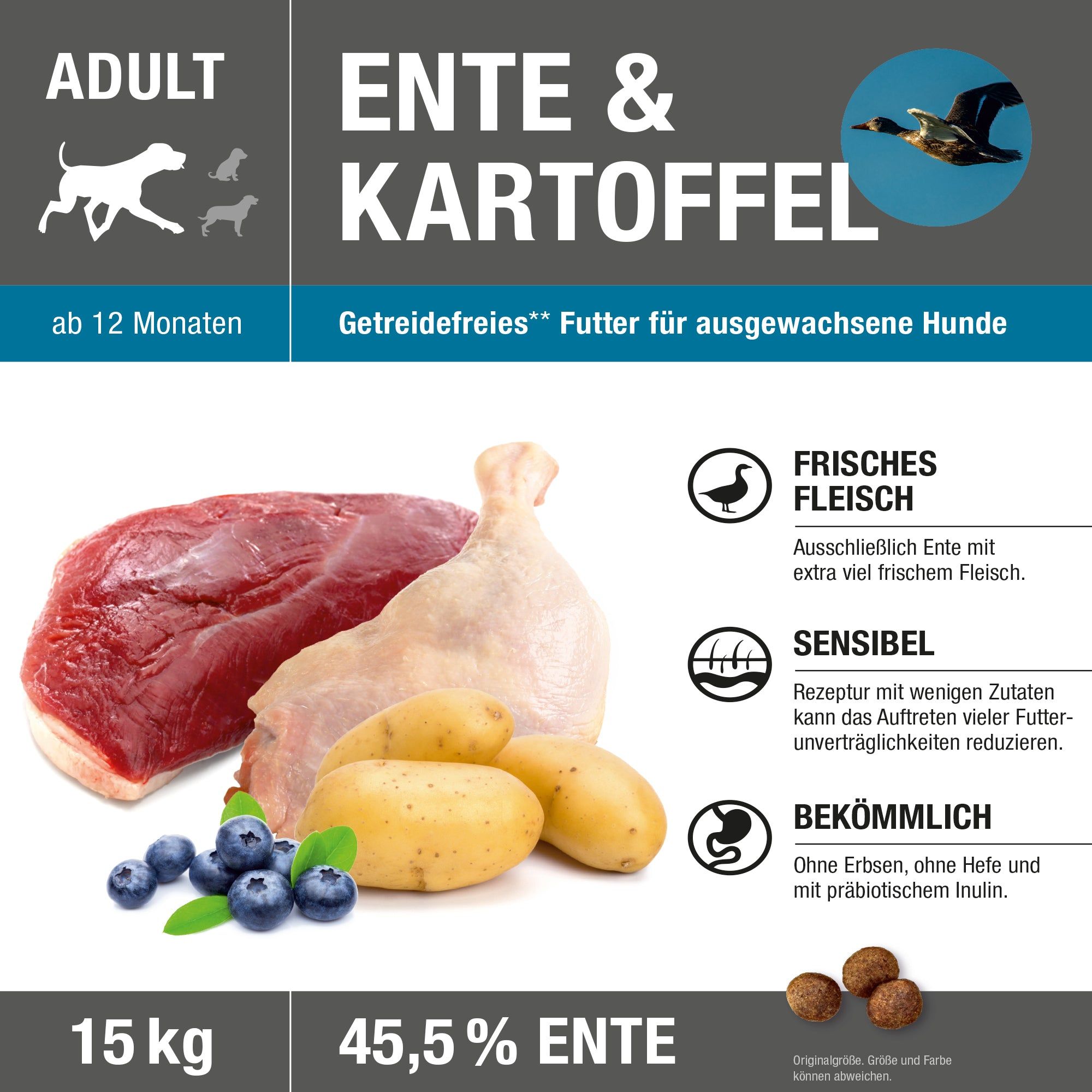 Wildsterne Adult Ente & Kartoffel Hundefutter, 15 kg Sack mit Abbildung von Ente, Kartoffeln und Beeren.