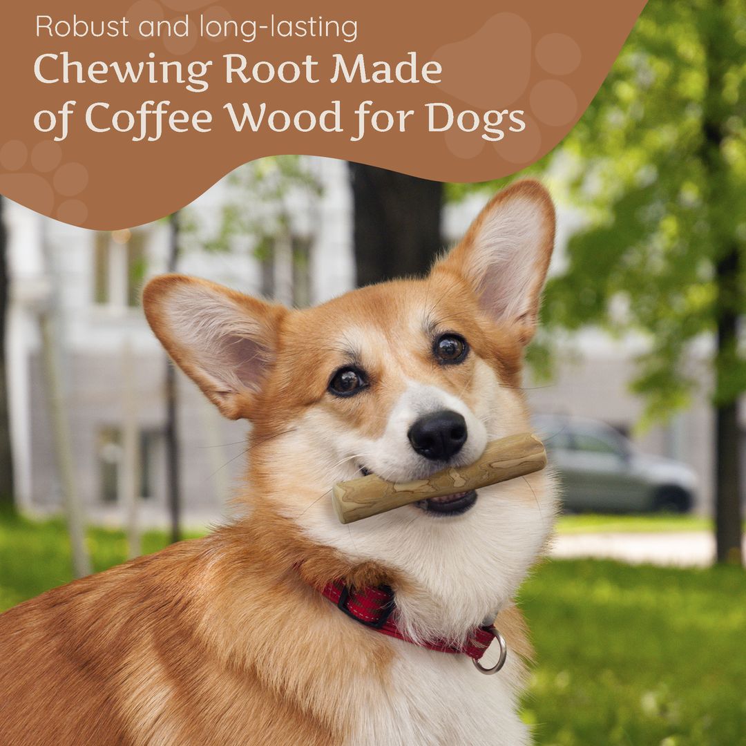 Paket "Feinschmecker Mini"