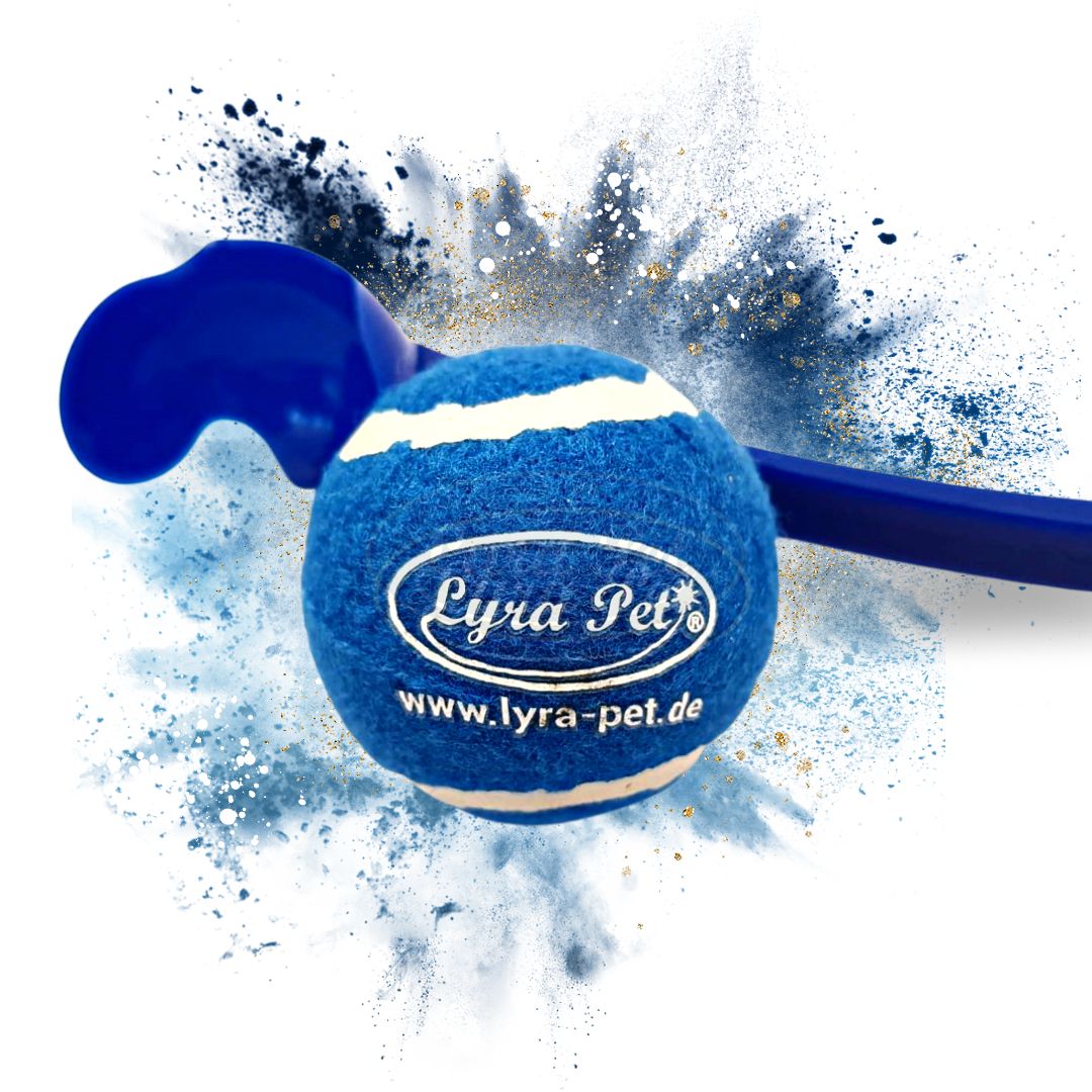 Lyra Pet® Ballschleudern für Hunde Spielzeug