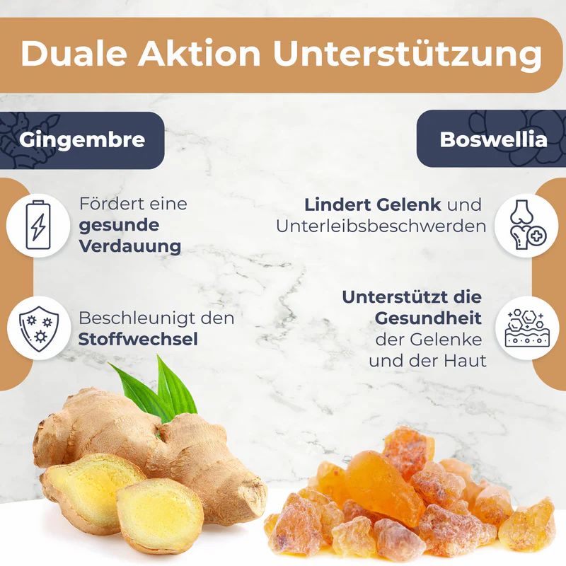 Grafiken zeigen Vorteile von Ingwer und Boswellia: Verdauung, Stoffwechsel, Gelenkgesundheit, Hautgesundheit.